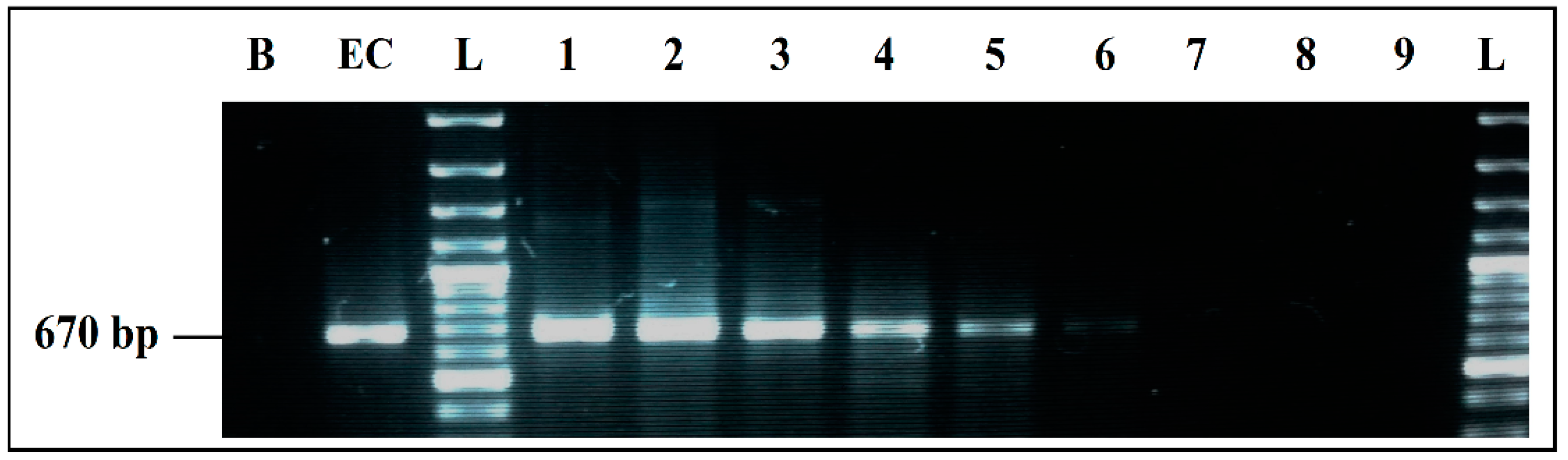 Ijerph 19 01031 g002 Ijerph 19 01031 g002