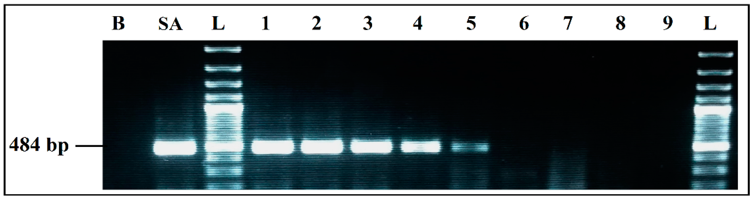Ijerph 19 01031 g003 Ijerph 19 01031 g003
