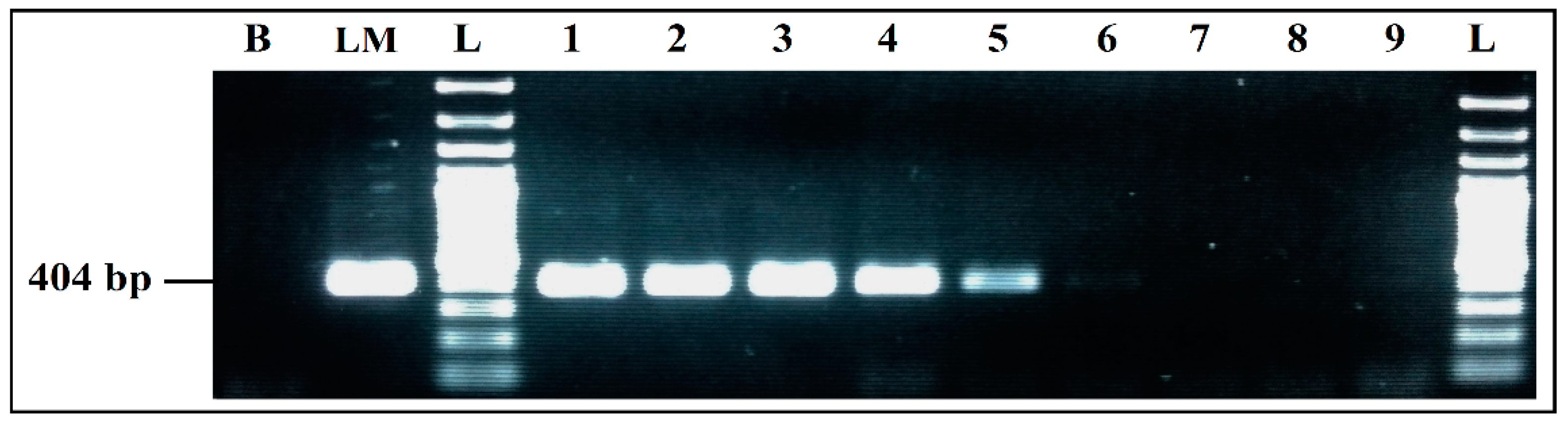 Ijerph 19 01031 g004 Ijerph 19 01031 g004