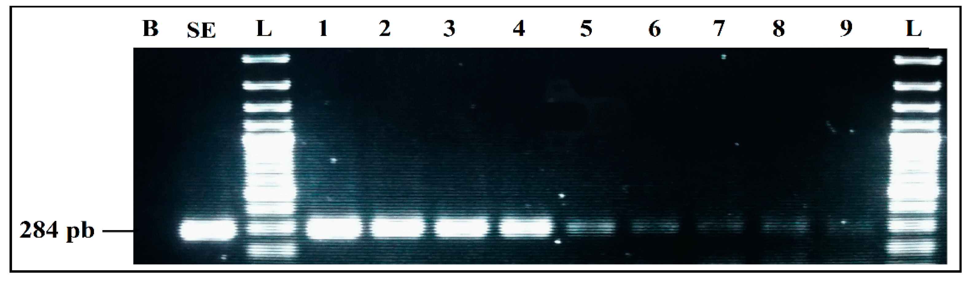 Ijerph 19 01031 g005 Ijerph 19 01031 g005