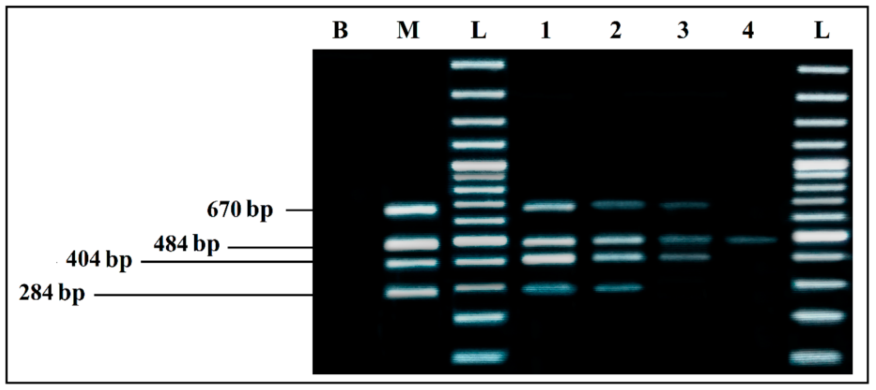 Ijerph 19 01031 g006 Ijerph 19 01031 g006
