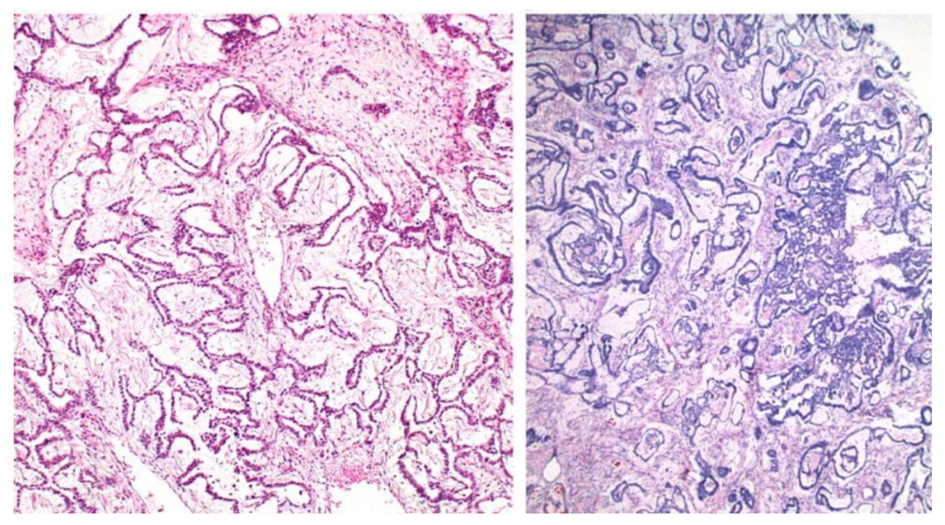 Ijerph 19 01106 g002