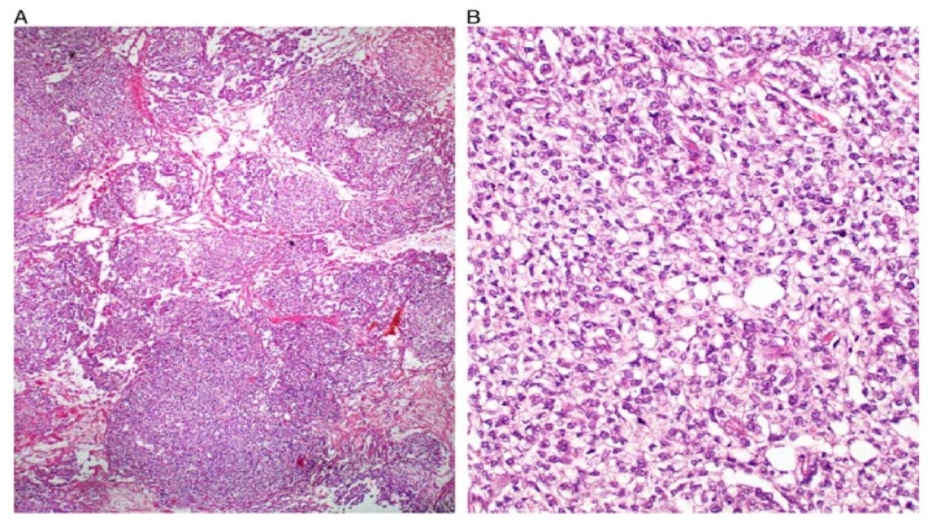 Ijerph 19 01106 g003