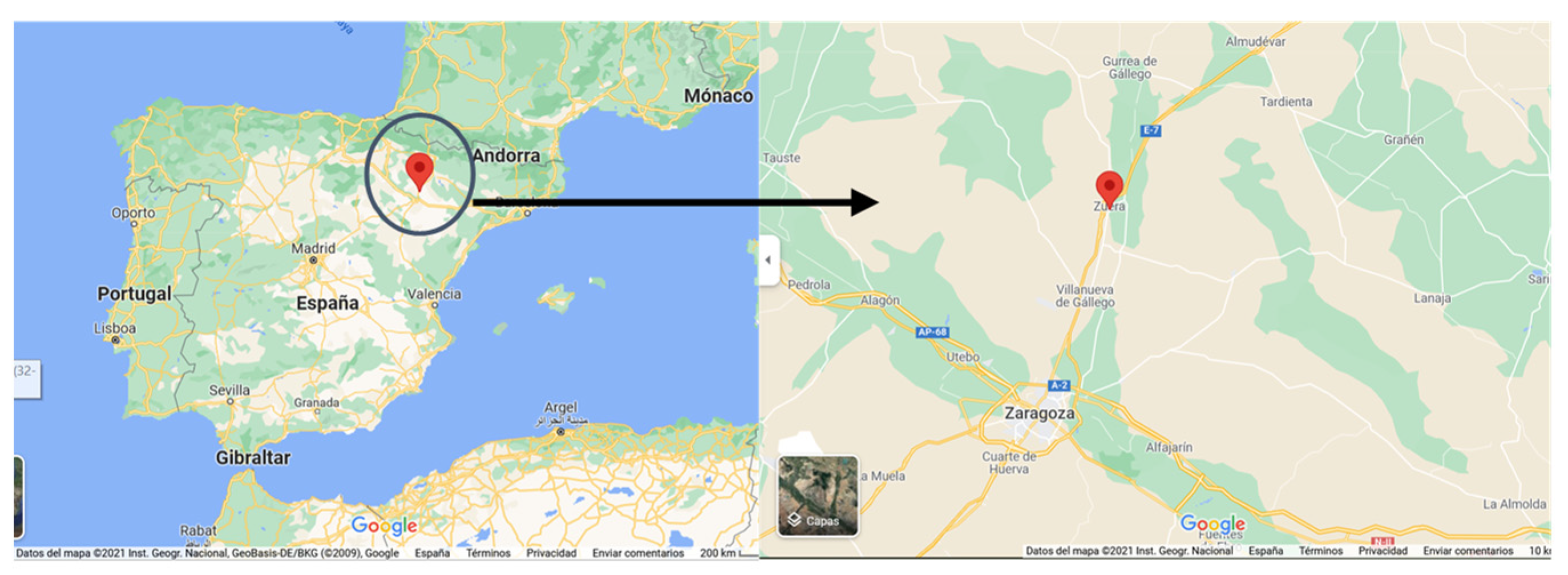 Ijerph 19 01161 g001