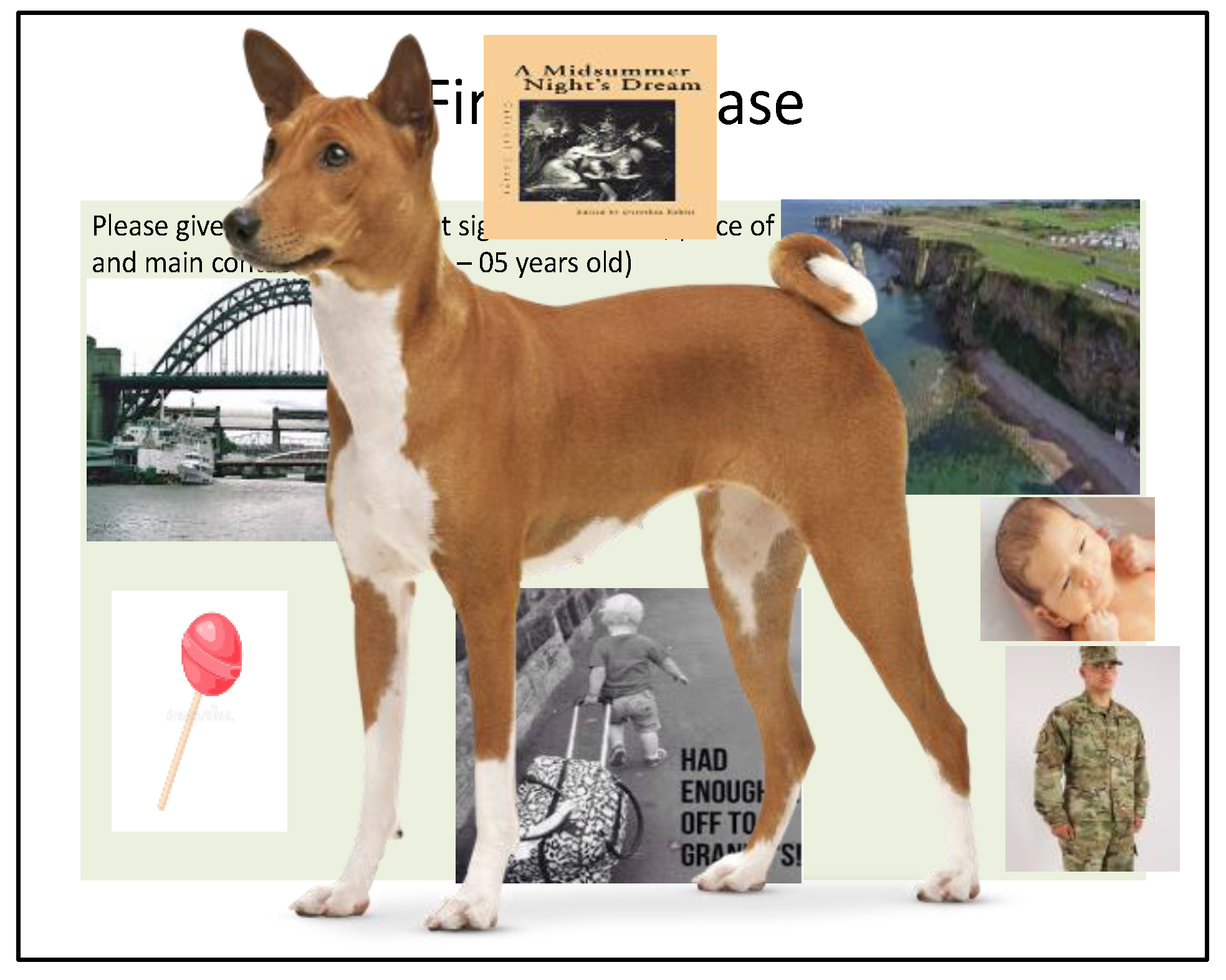 Ijerph 19 01165 g008