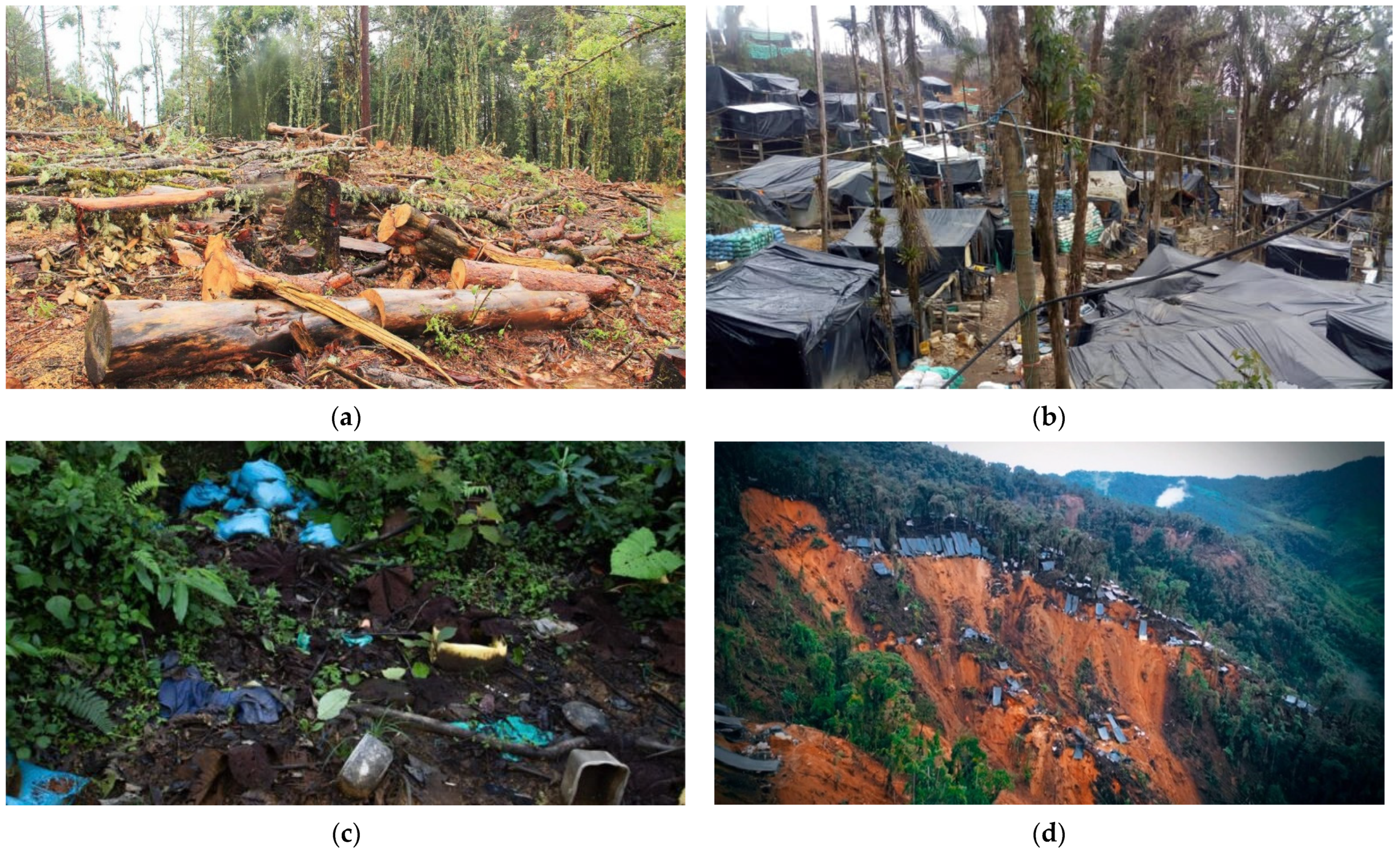 Ijerph 19 01190 g002