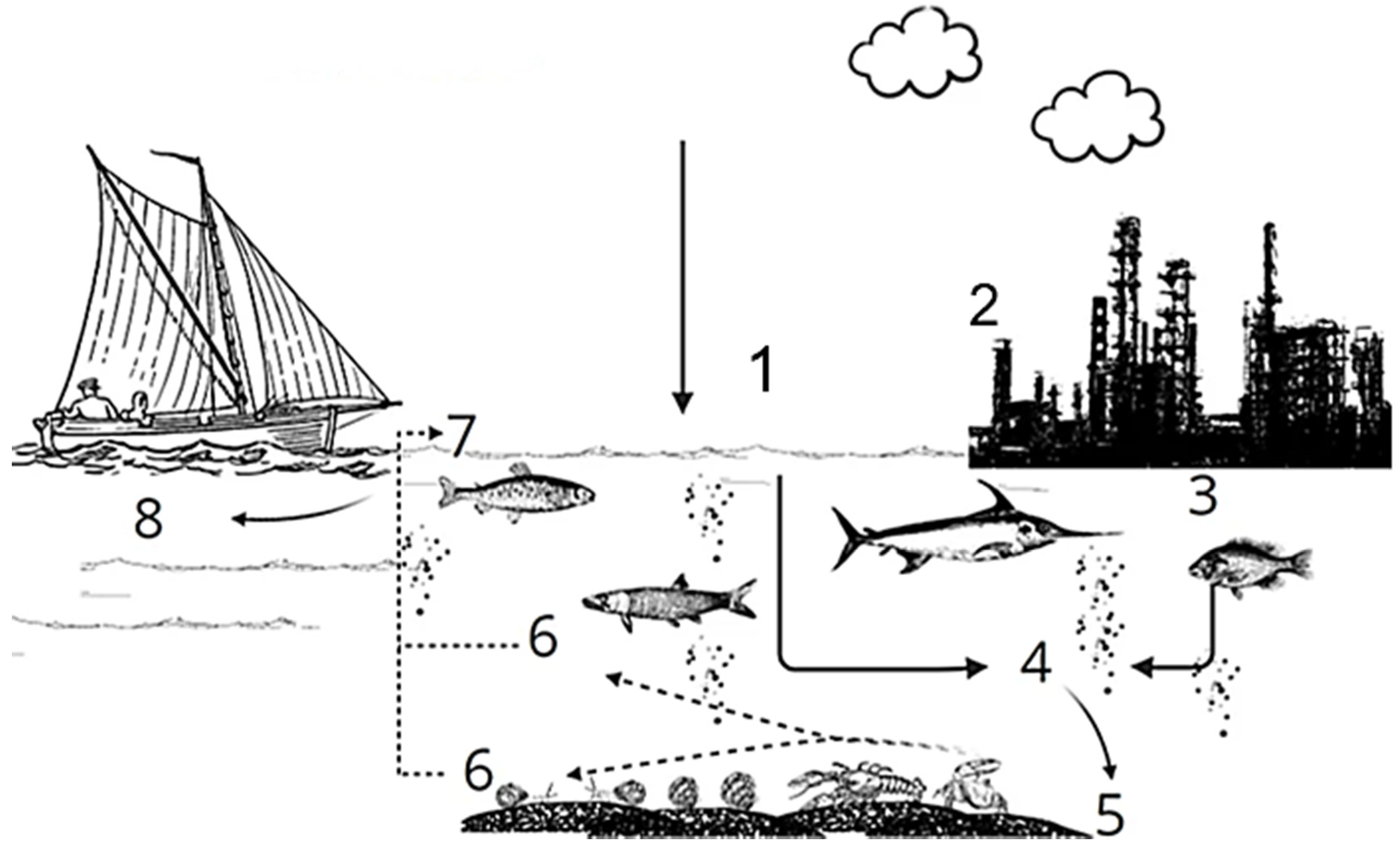 Ijerph 19 01211 g002