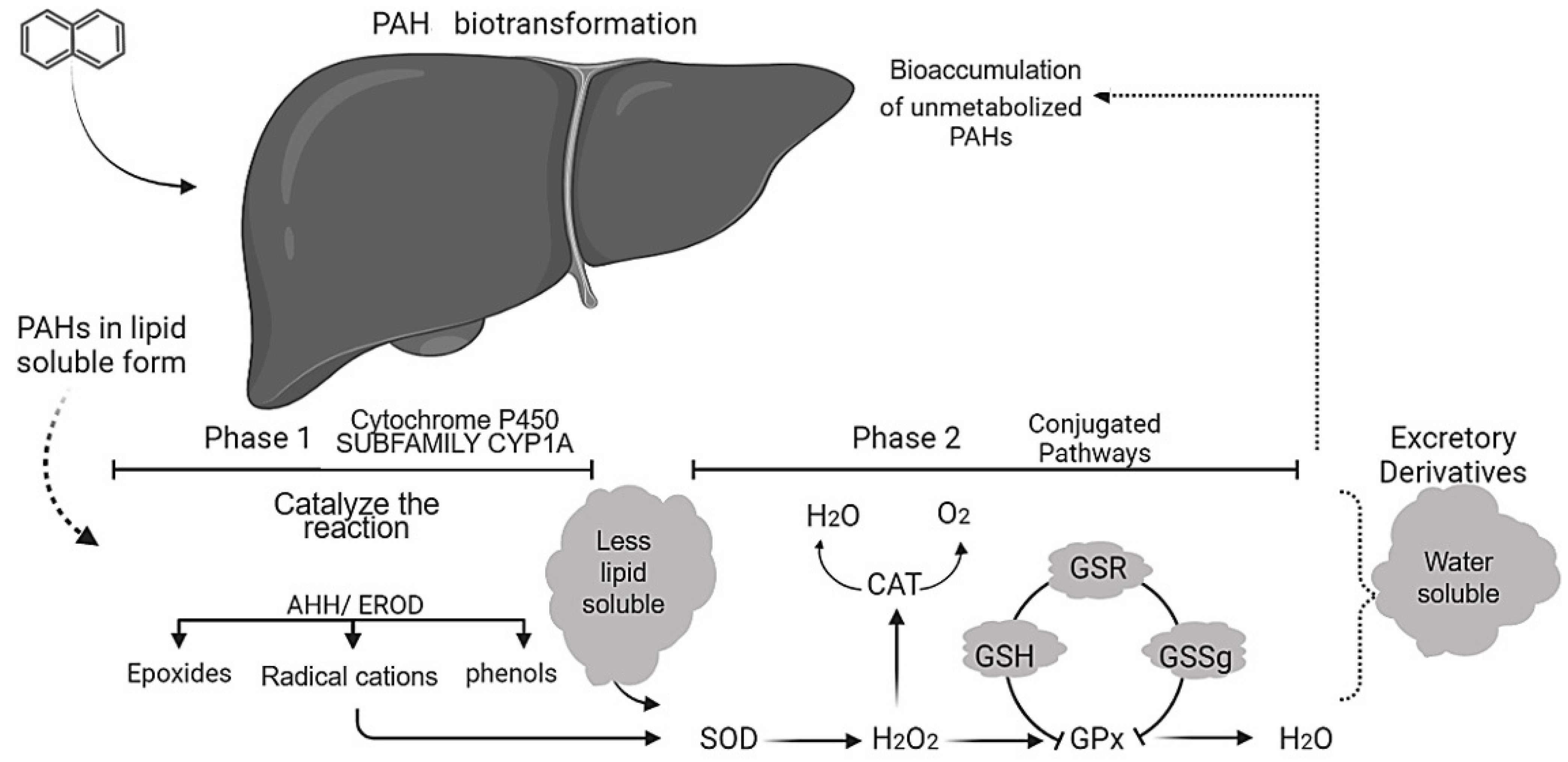 Ijerph 19 01211 g007