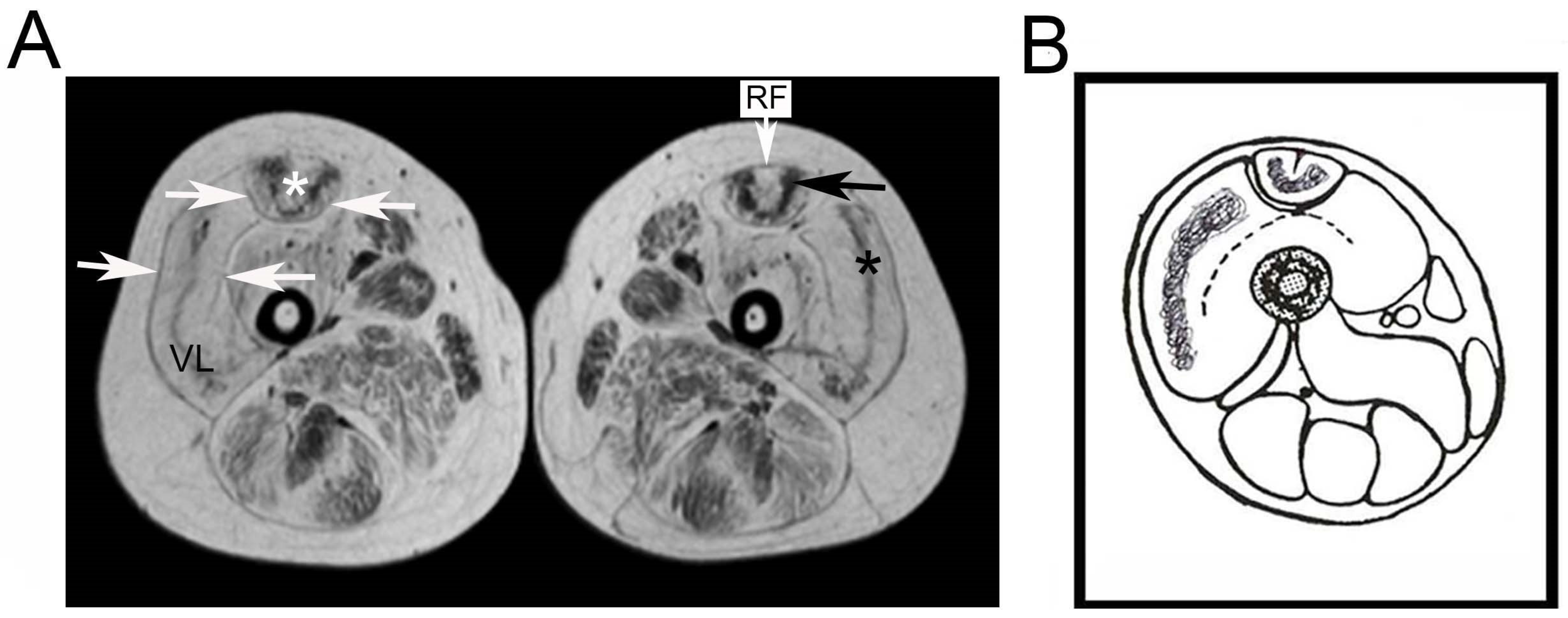 Ijerph 19 01252 g001