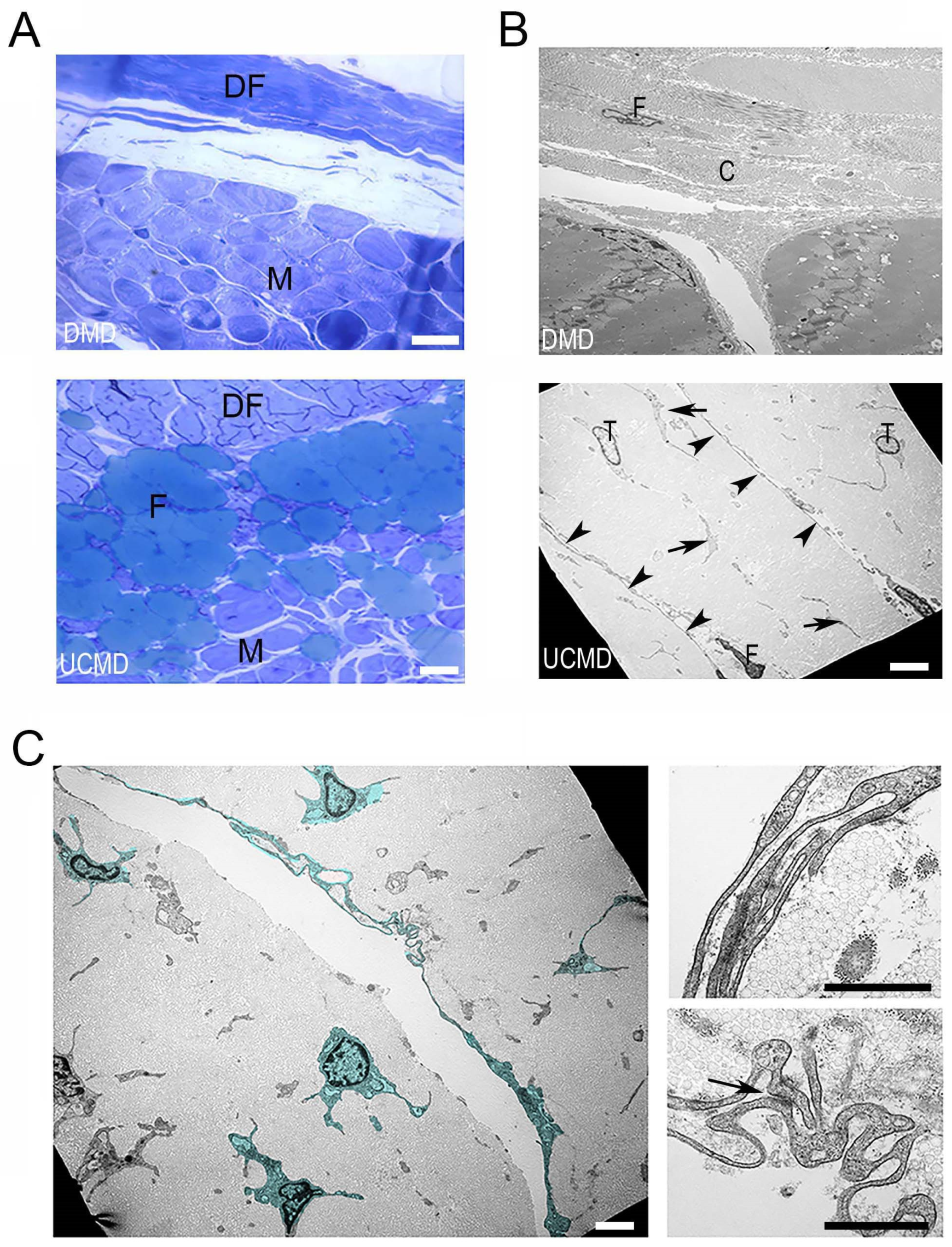 Ijerph 19 01252 g003