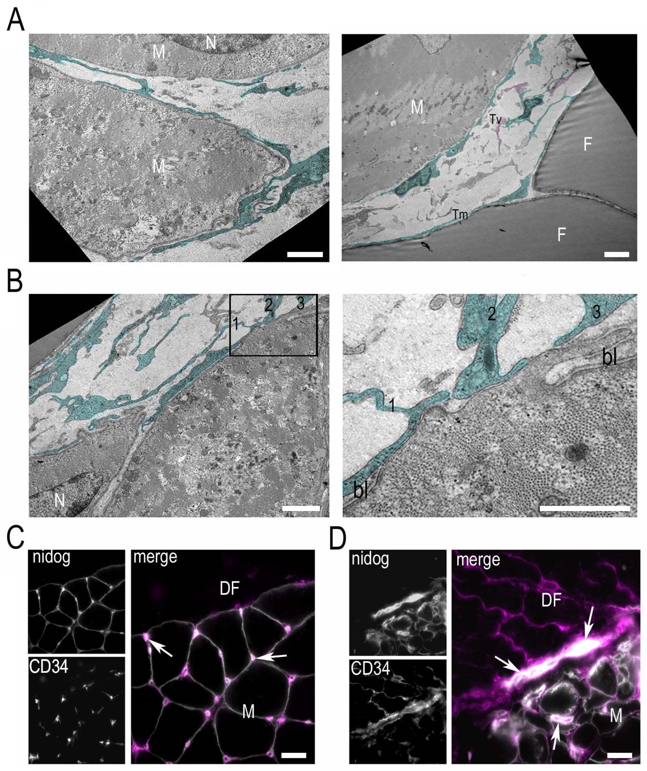 Ijerph 19 01252 g004