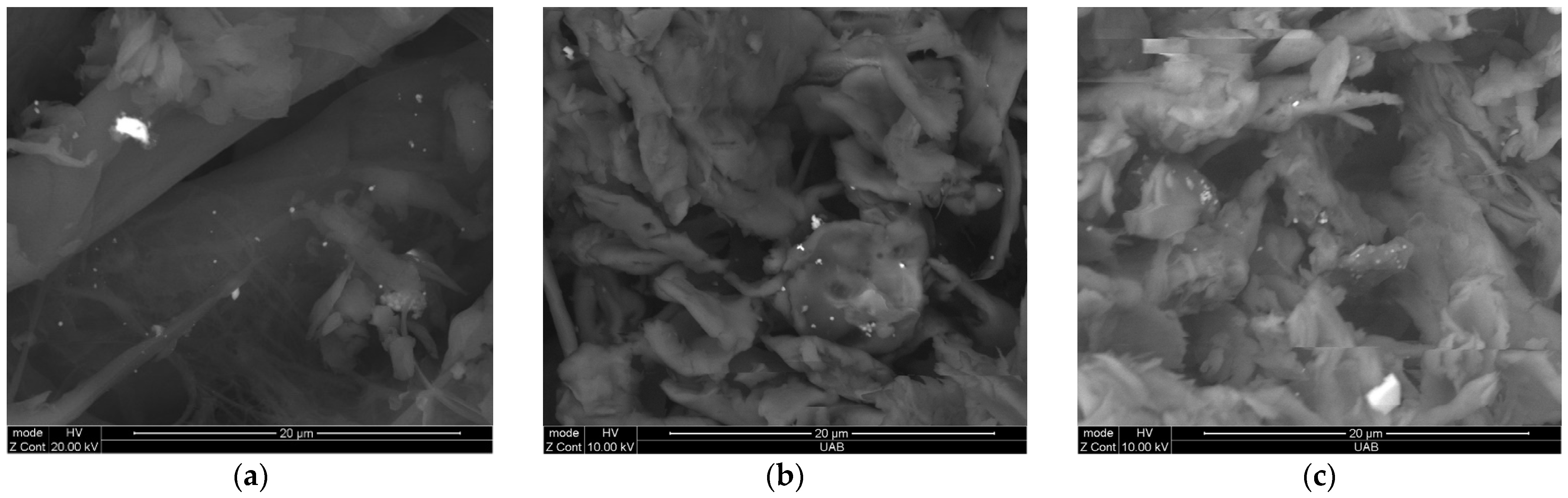 Ijerph 19 01265 g002