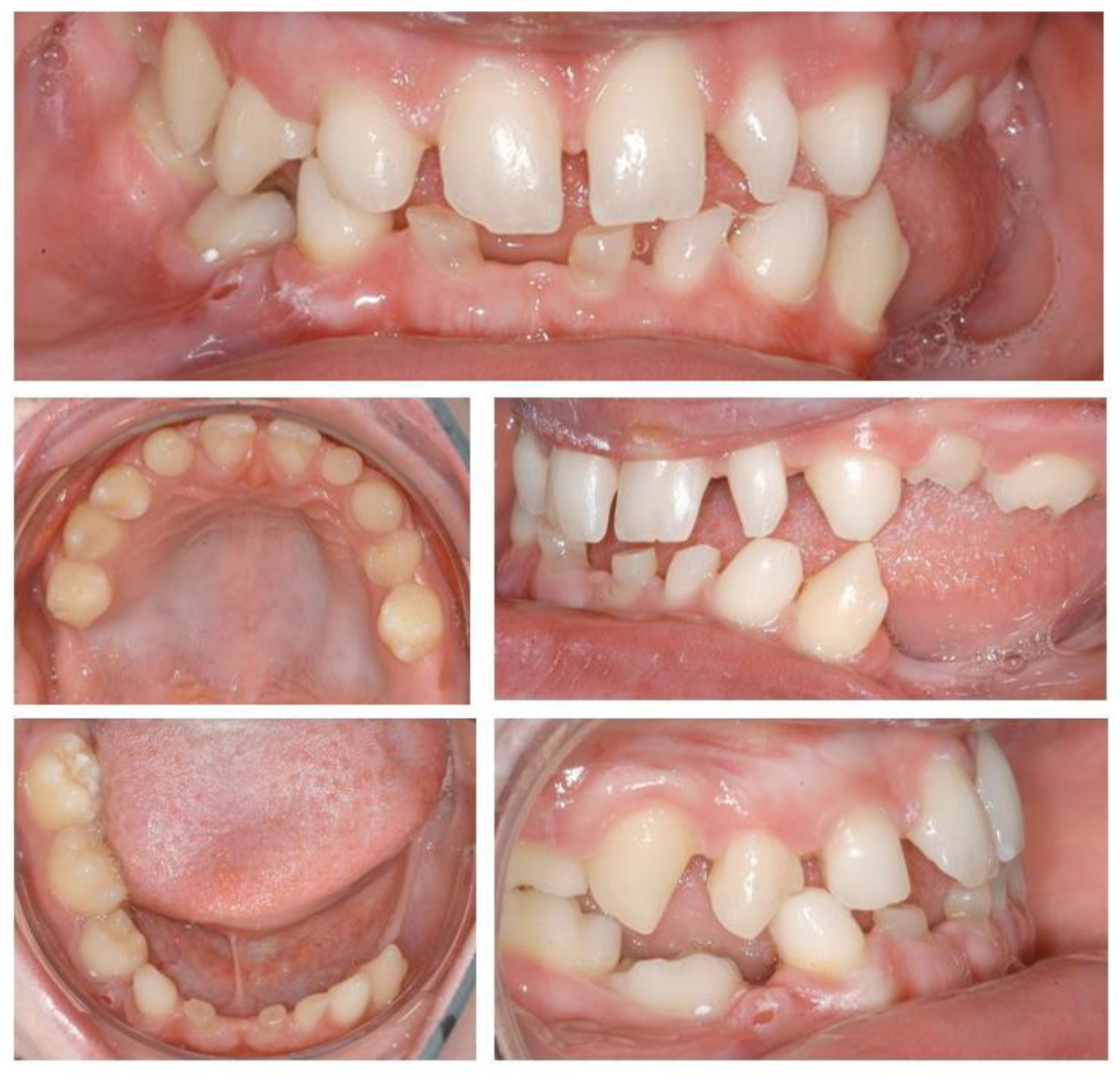 Ijerph 19 01489 g001