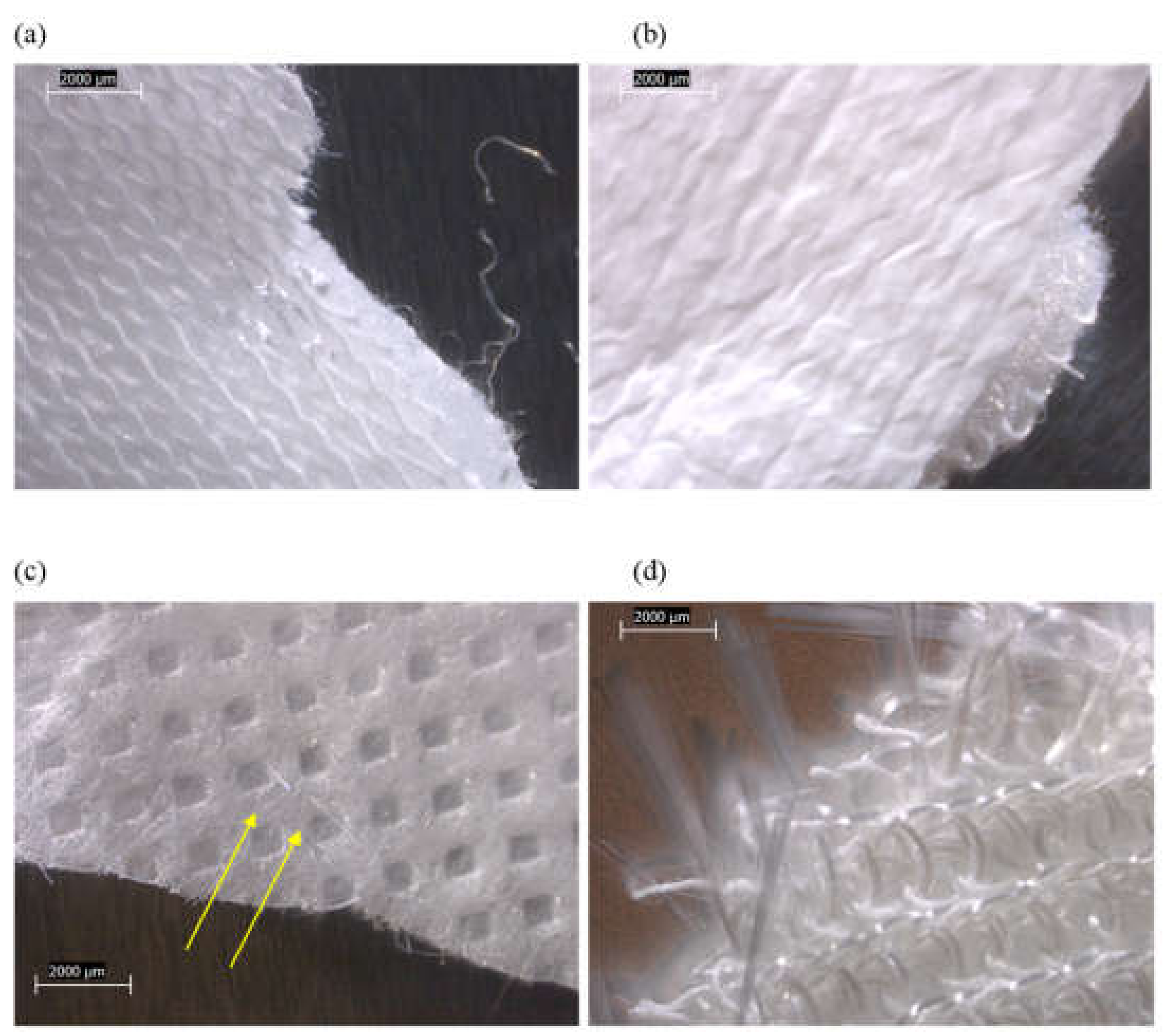 Ijerph 19 01695 g005