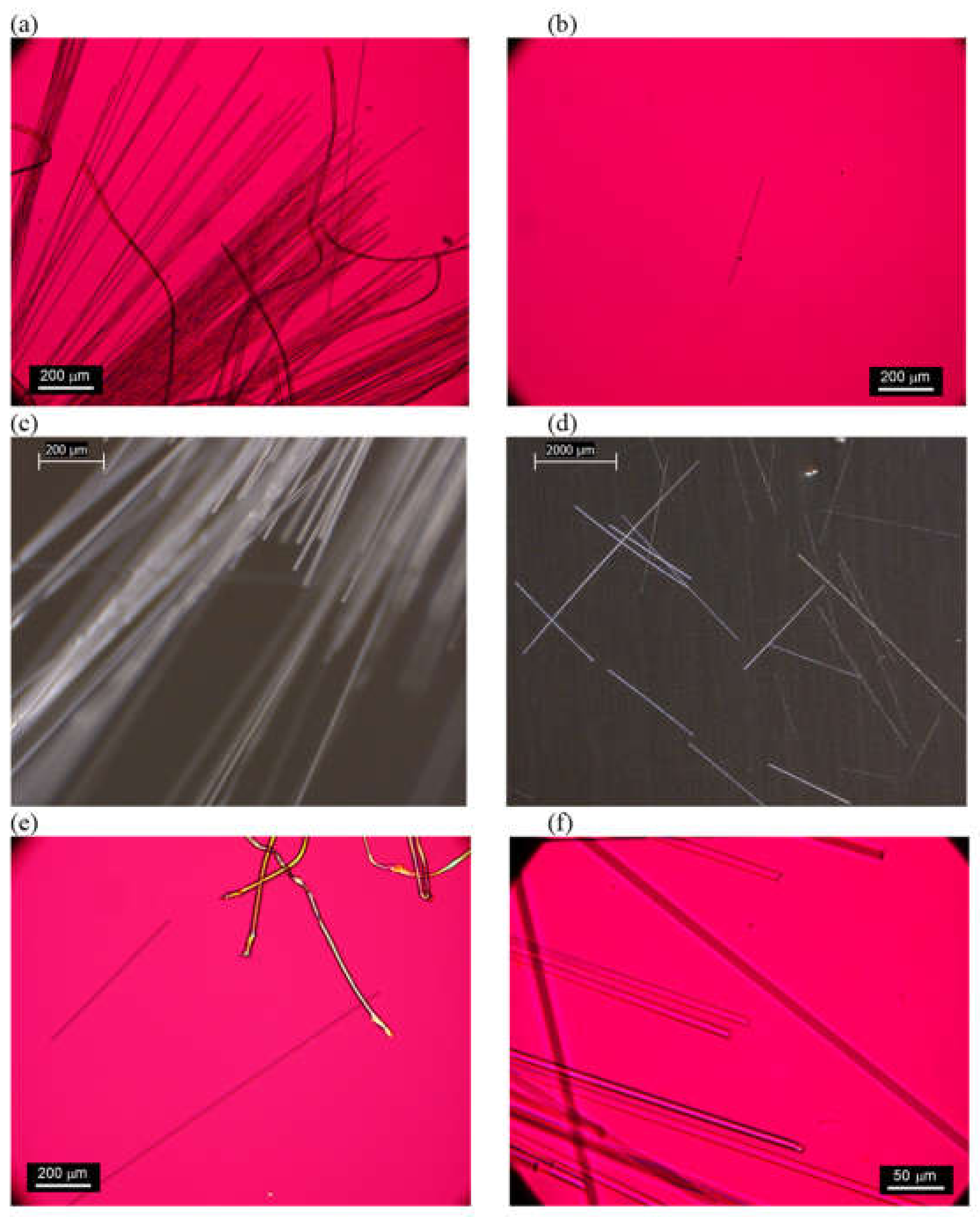 Ijerph 19 01695 g006