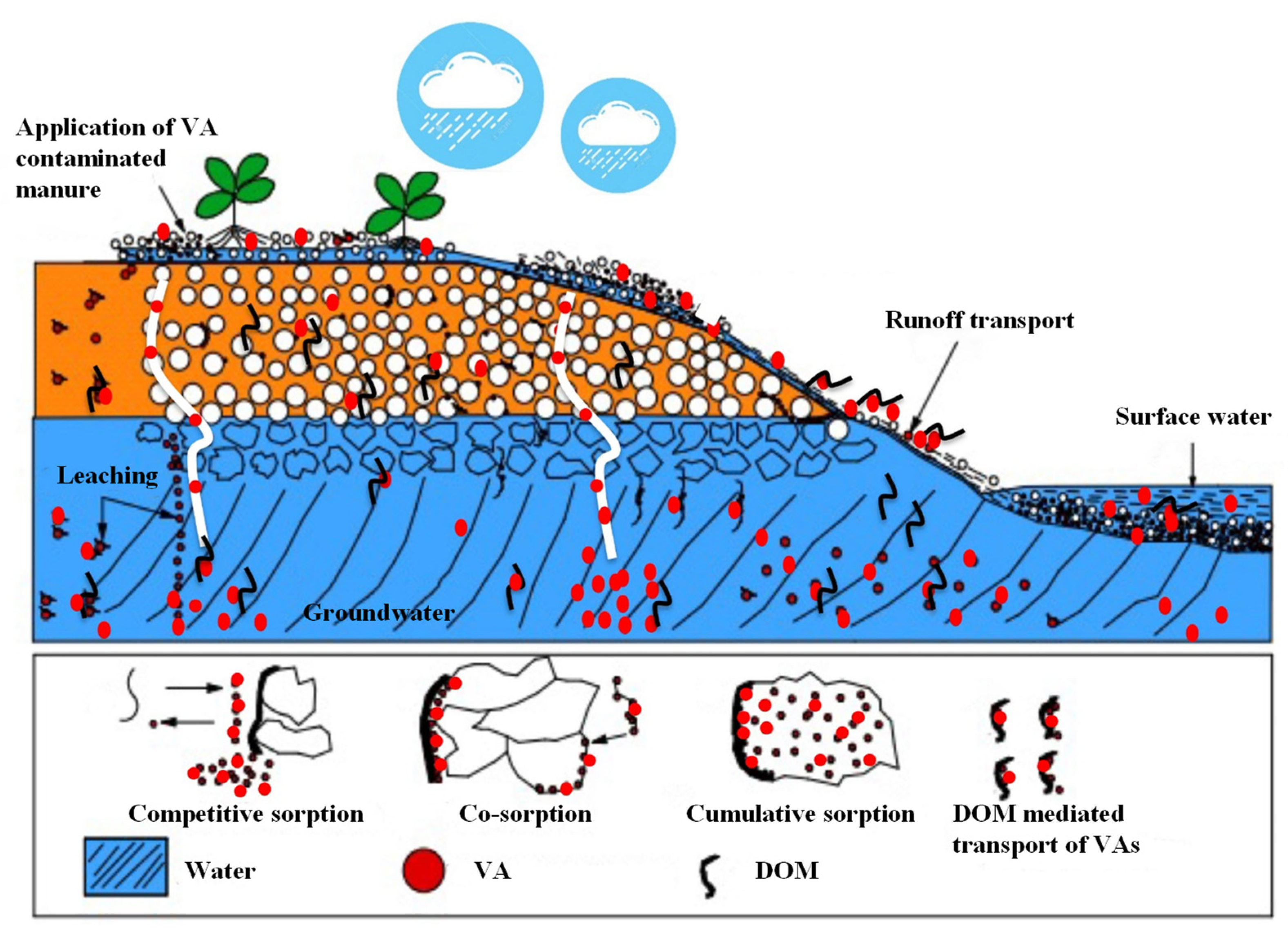 Ijerph 19 01702 g001