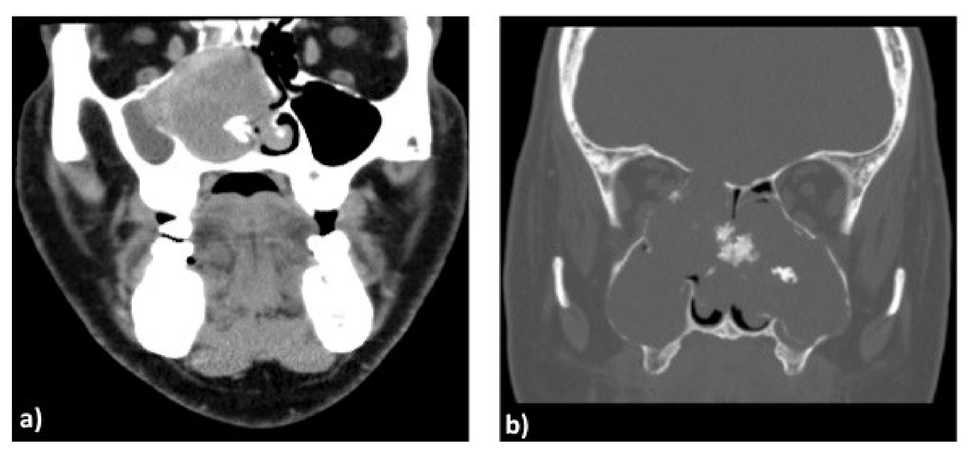 Ijerph 19 01713 g002