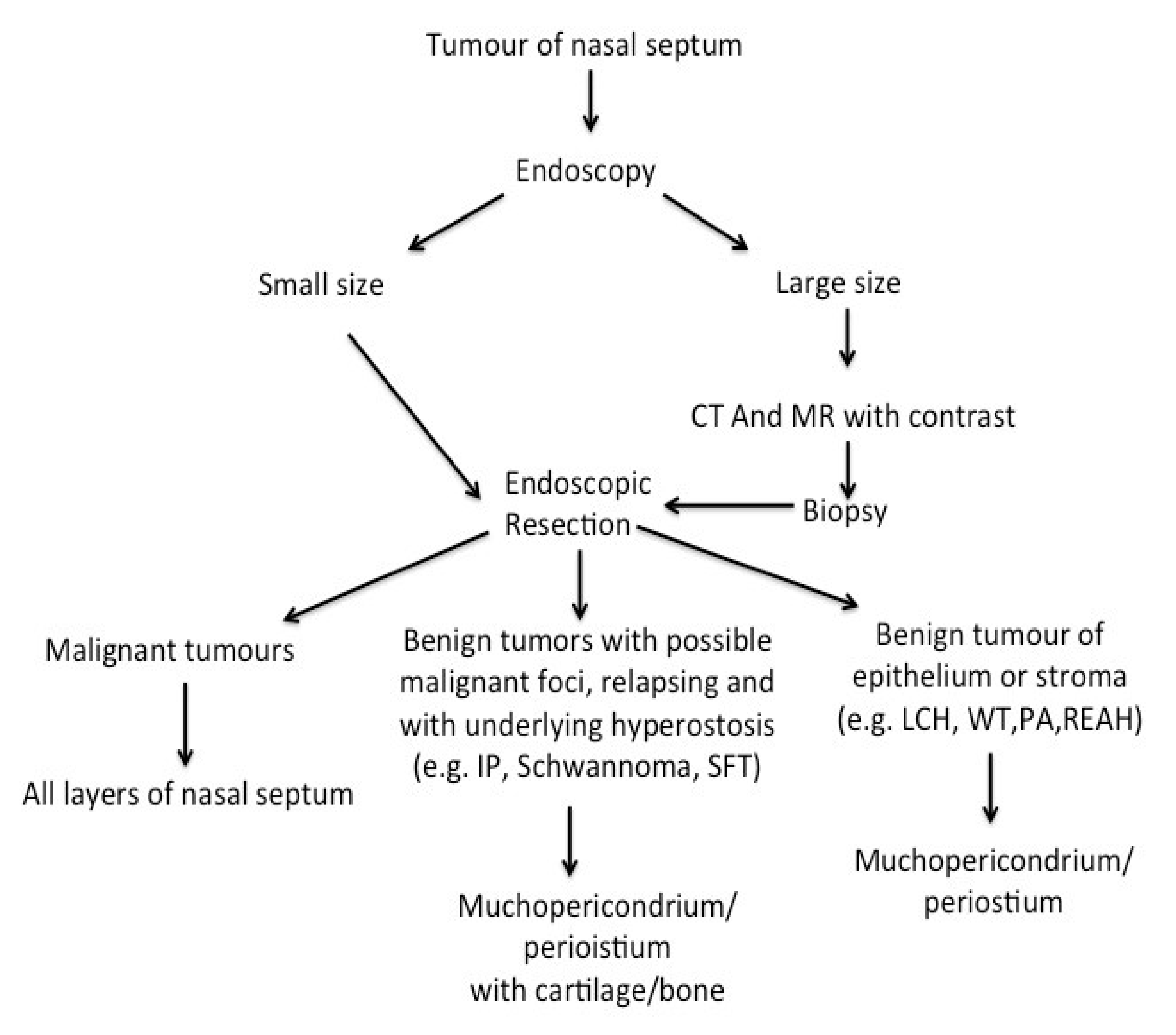 Ijerph 19 01713 g003
