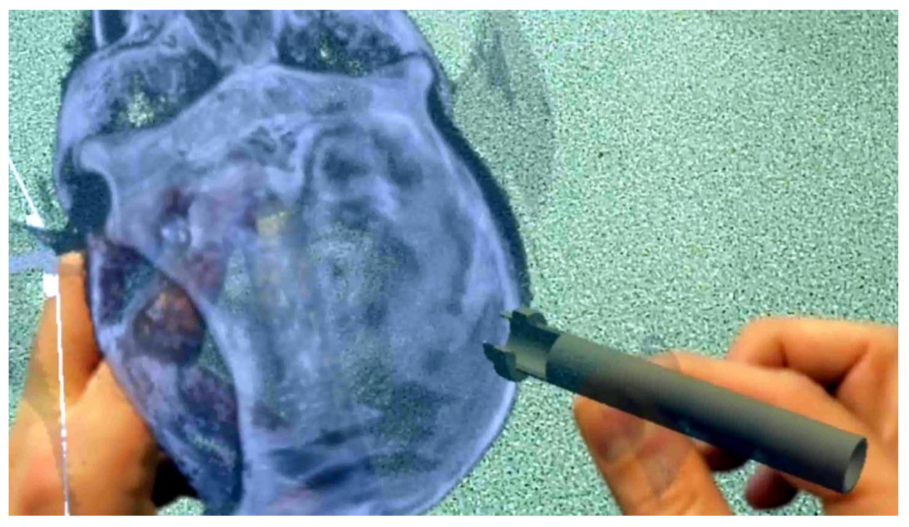 Ijerph 19 01719 g001