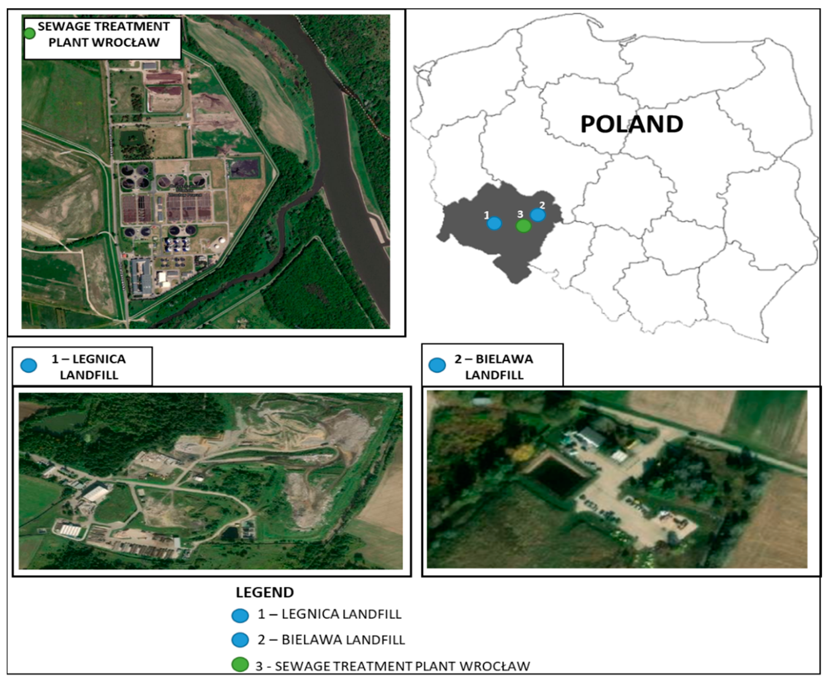 Ijerph 19 01801 g001 Ijerph 19 01801 g001