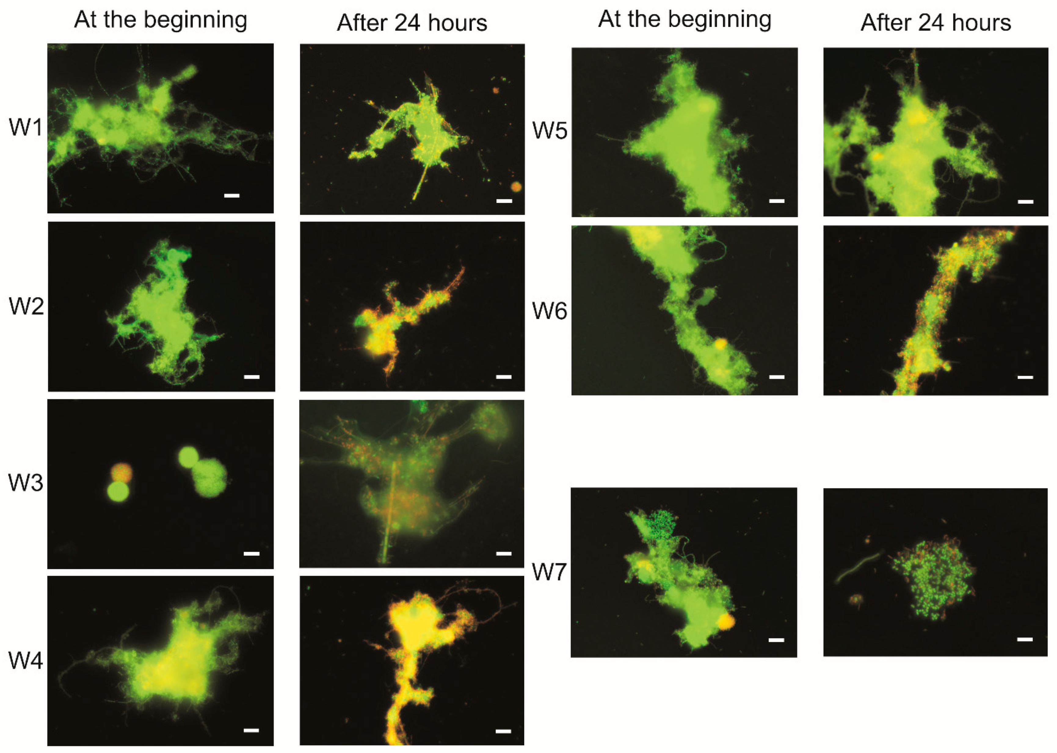 Ijerph 19 01801 g006 Ijerph 19 01801 g006