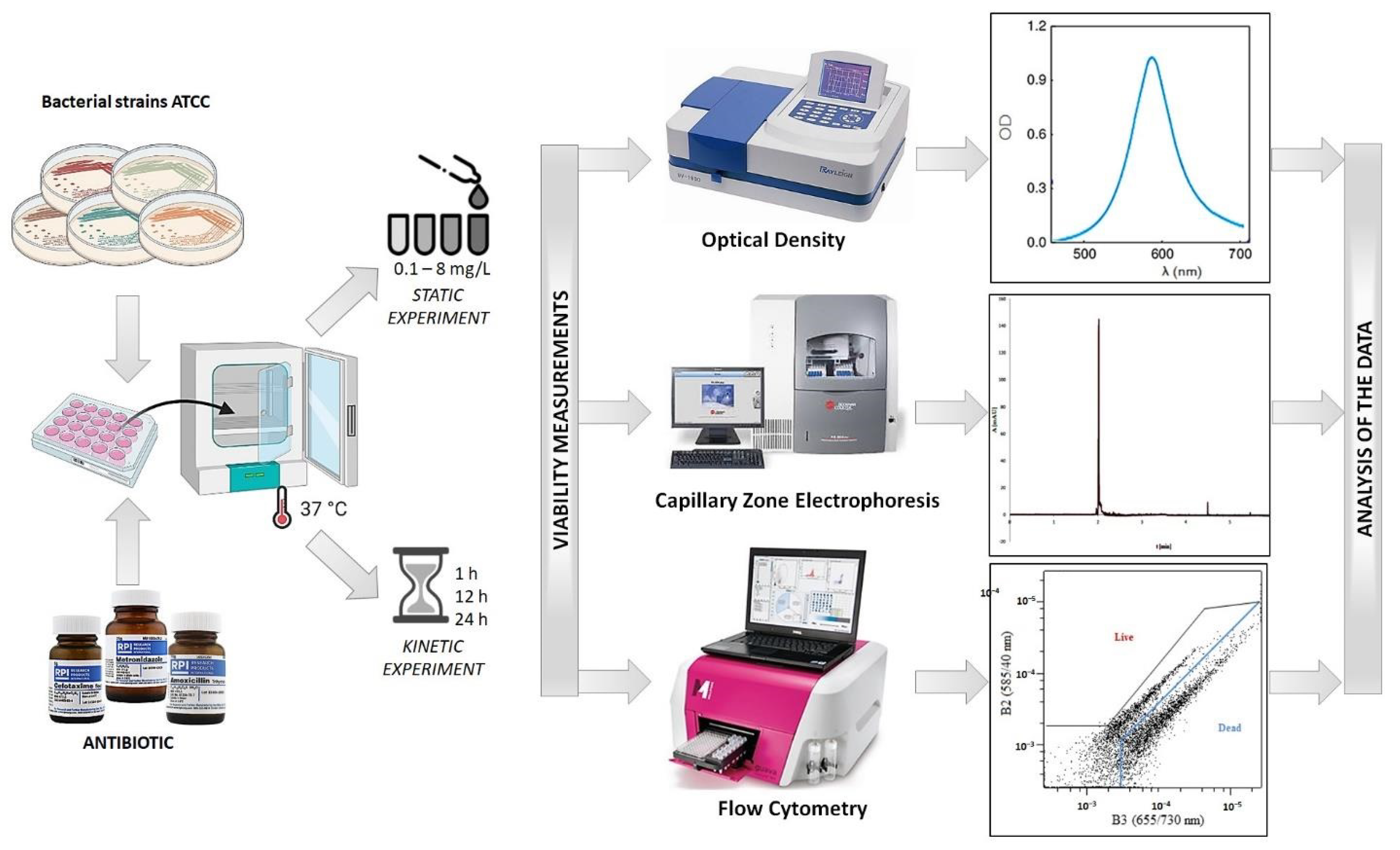 Ijerph 19 01833 g001