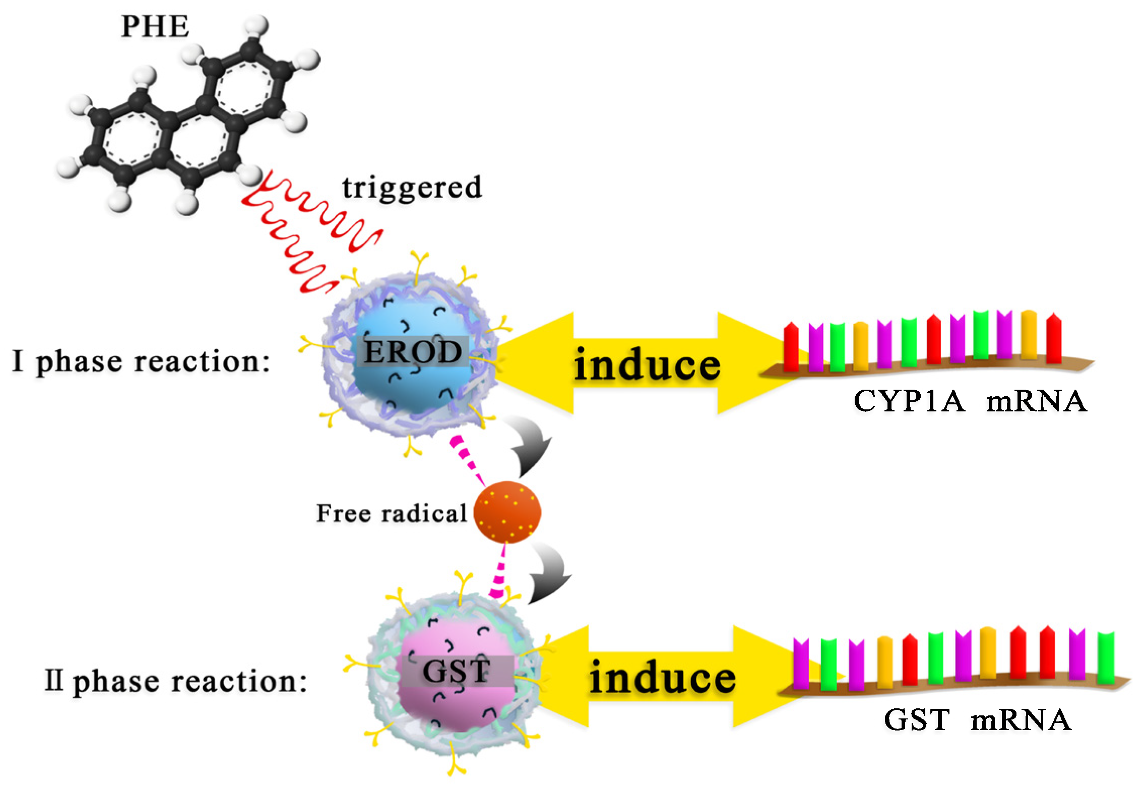 Ijerph 19 02129 g004