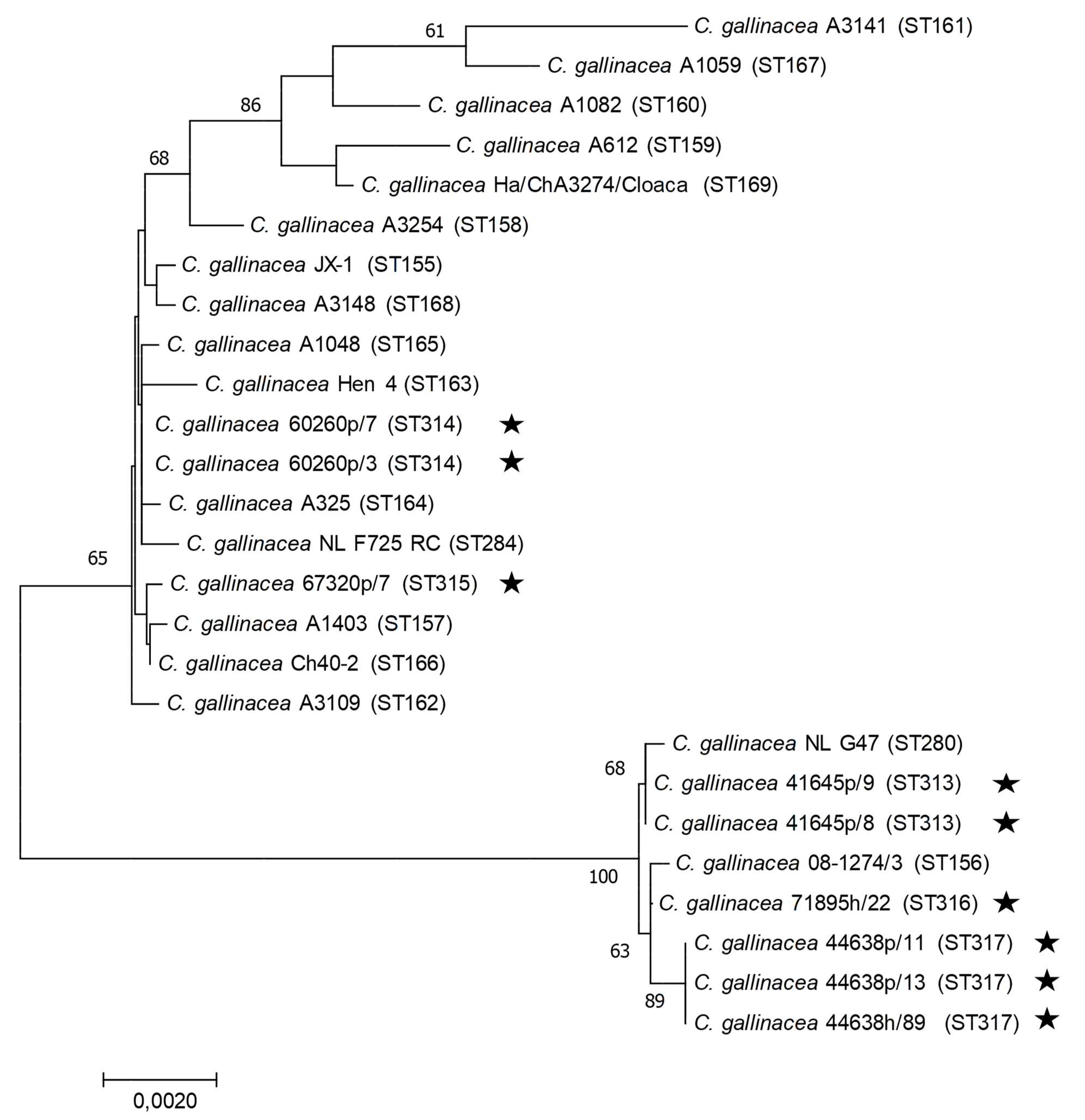 Ijerph 19 02174 g007