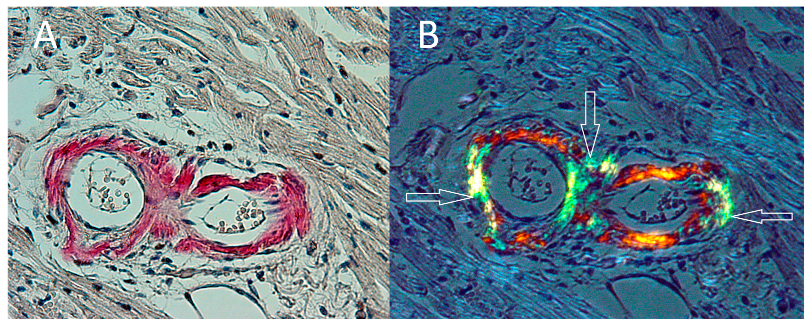 Ijerph 19 02297 g002