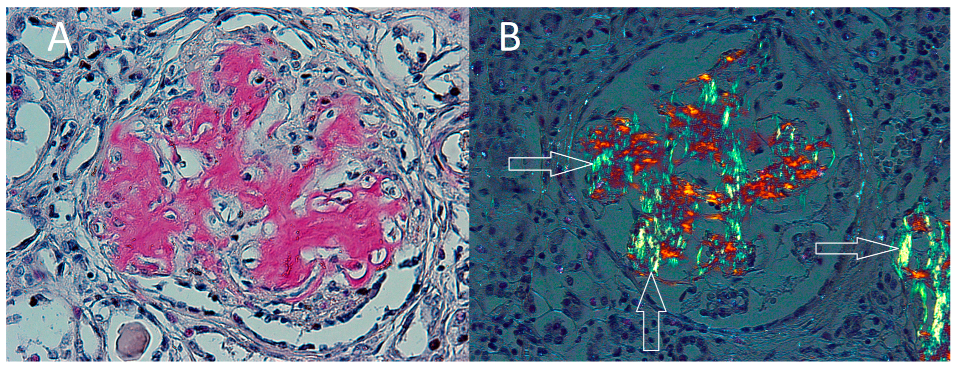 Ijerph 19 02297 g003