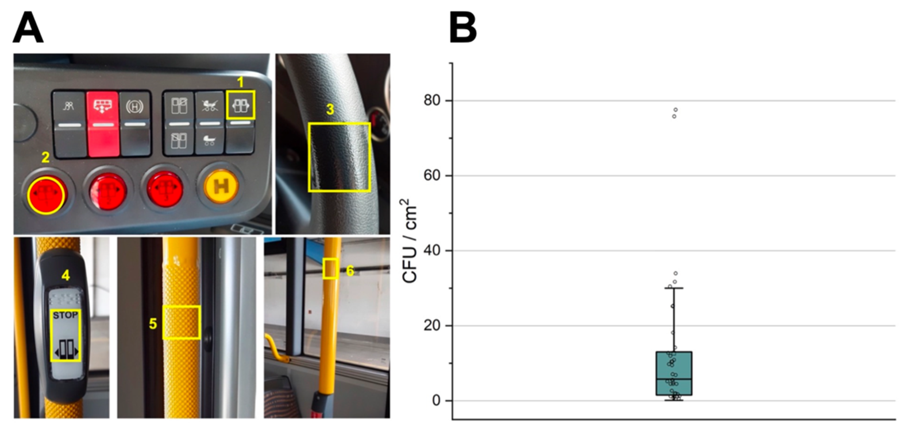 Ijerph 19 02325 g001