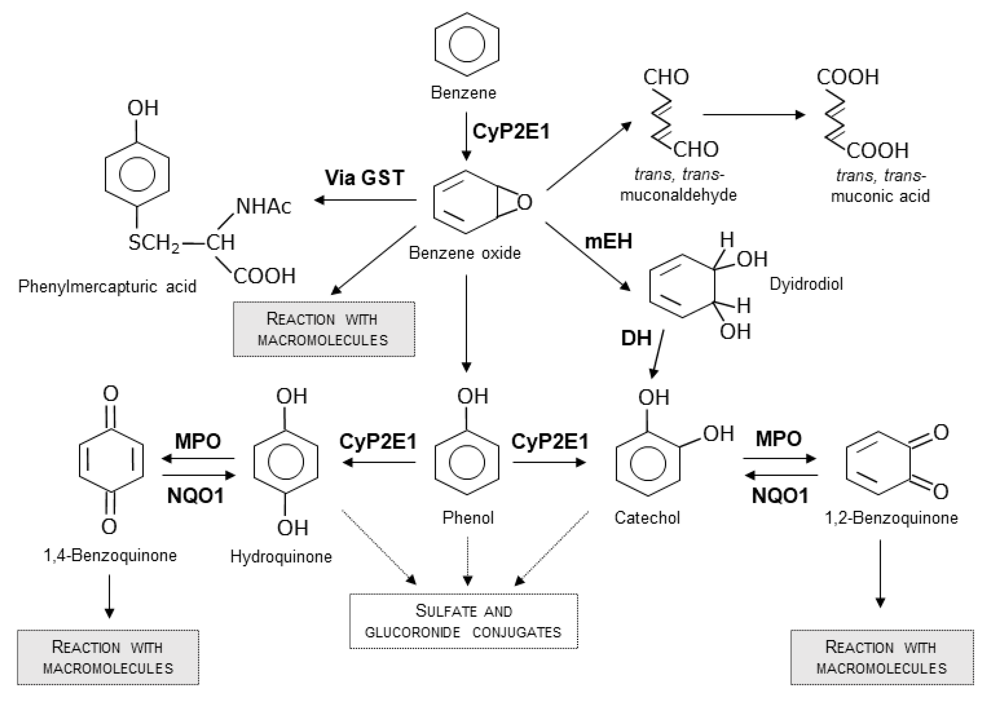 Ijerph 19 02339 g001