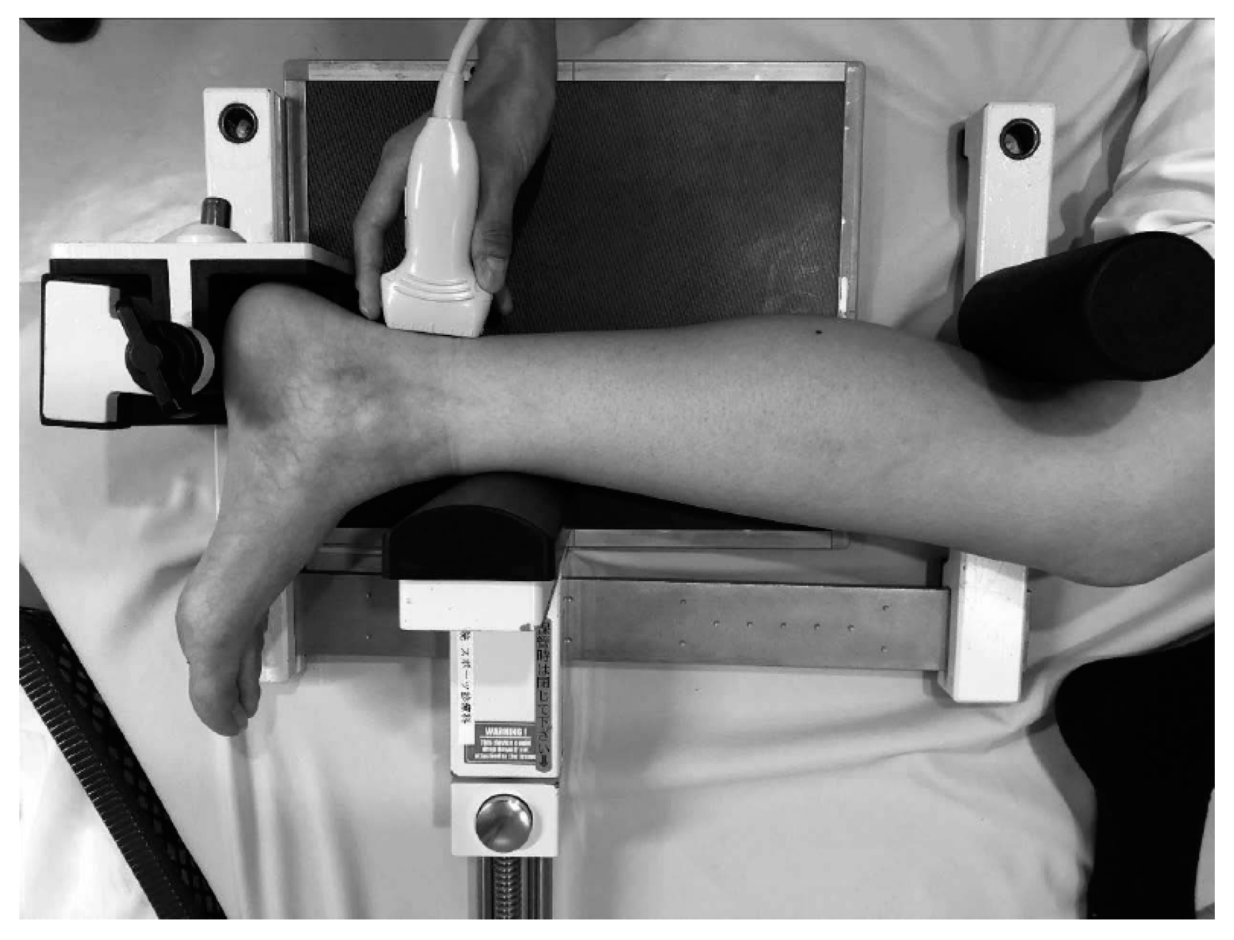 Ijerph 19 02367 g001