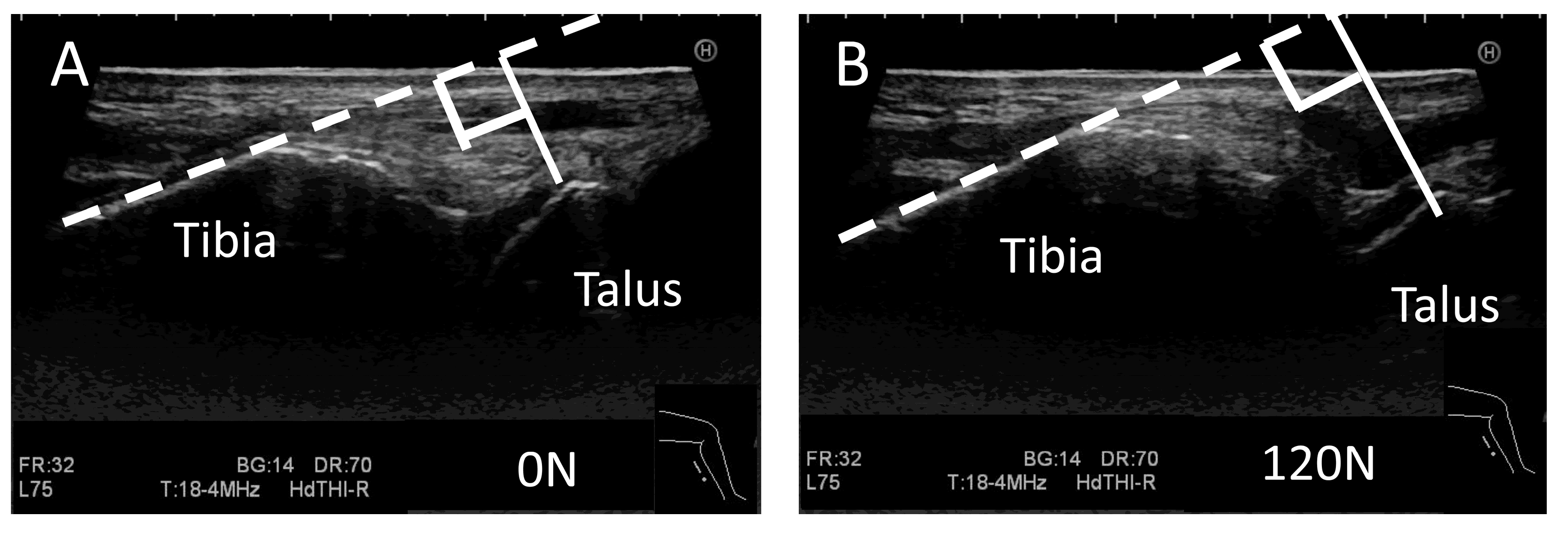 Ijerph 19 02367 g003