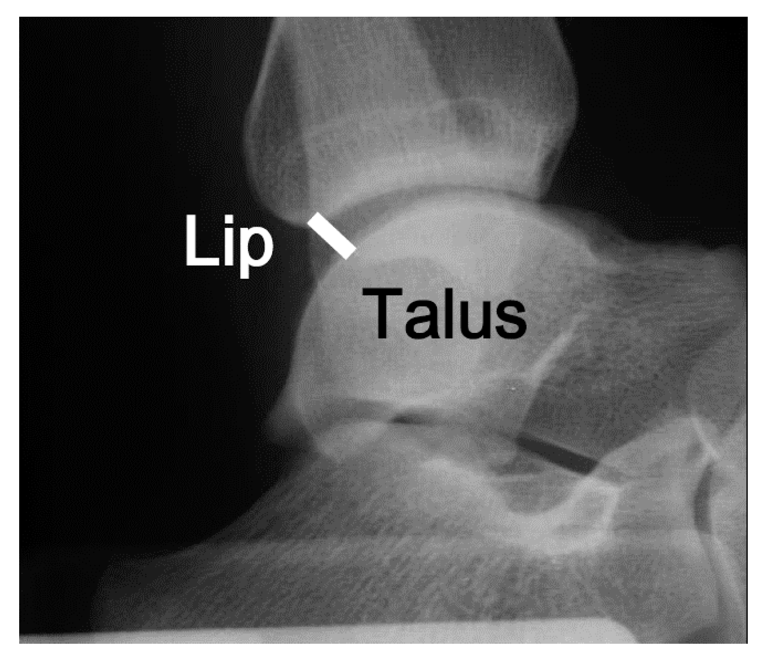 Ijerph 19 02367 g004