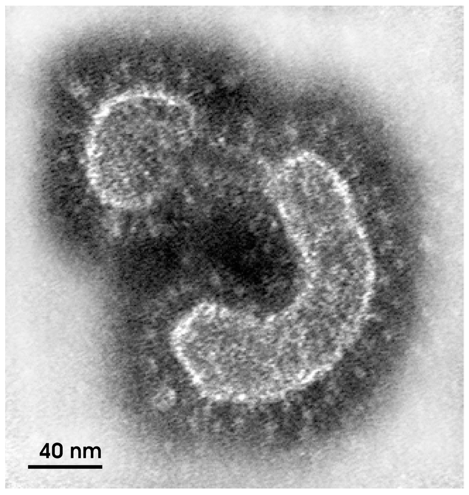 Ijerph 19 02392 g001