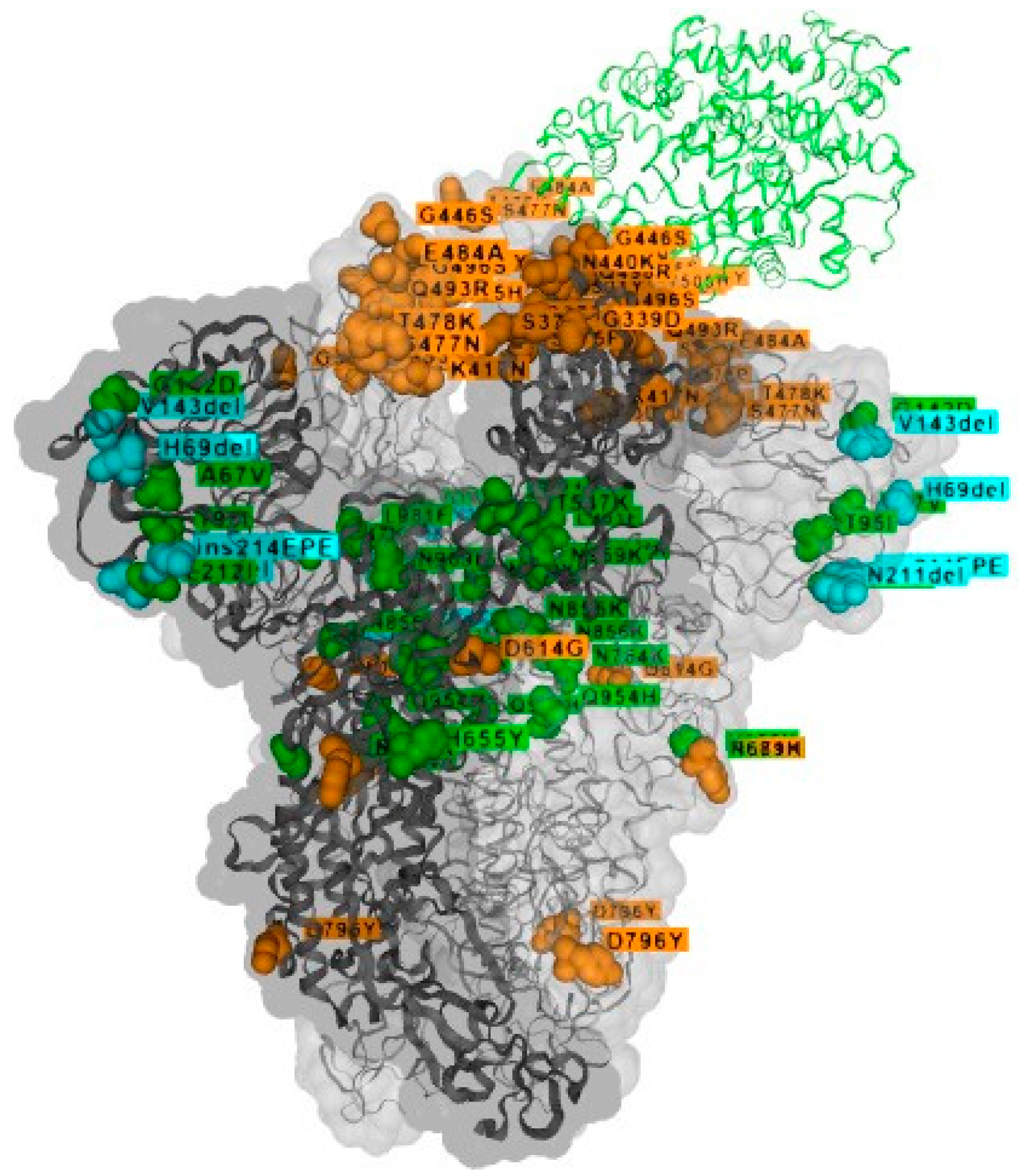 Ijerph 19 02392 g003