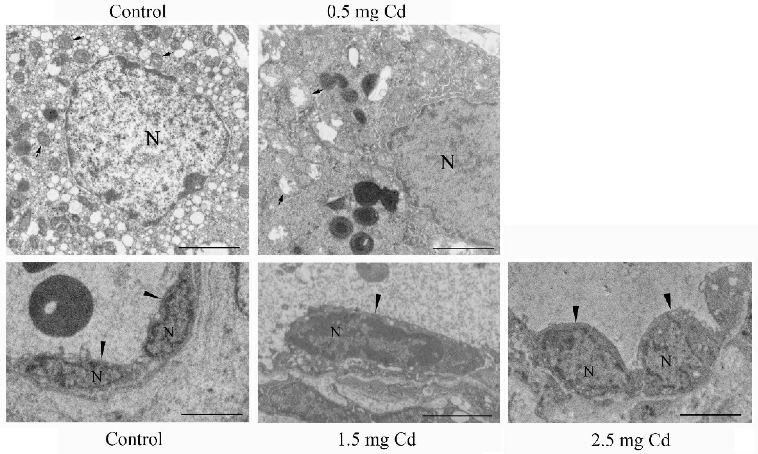 Ijerph 19 02416 g001 Ijerph 19 02416 g001
