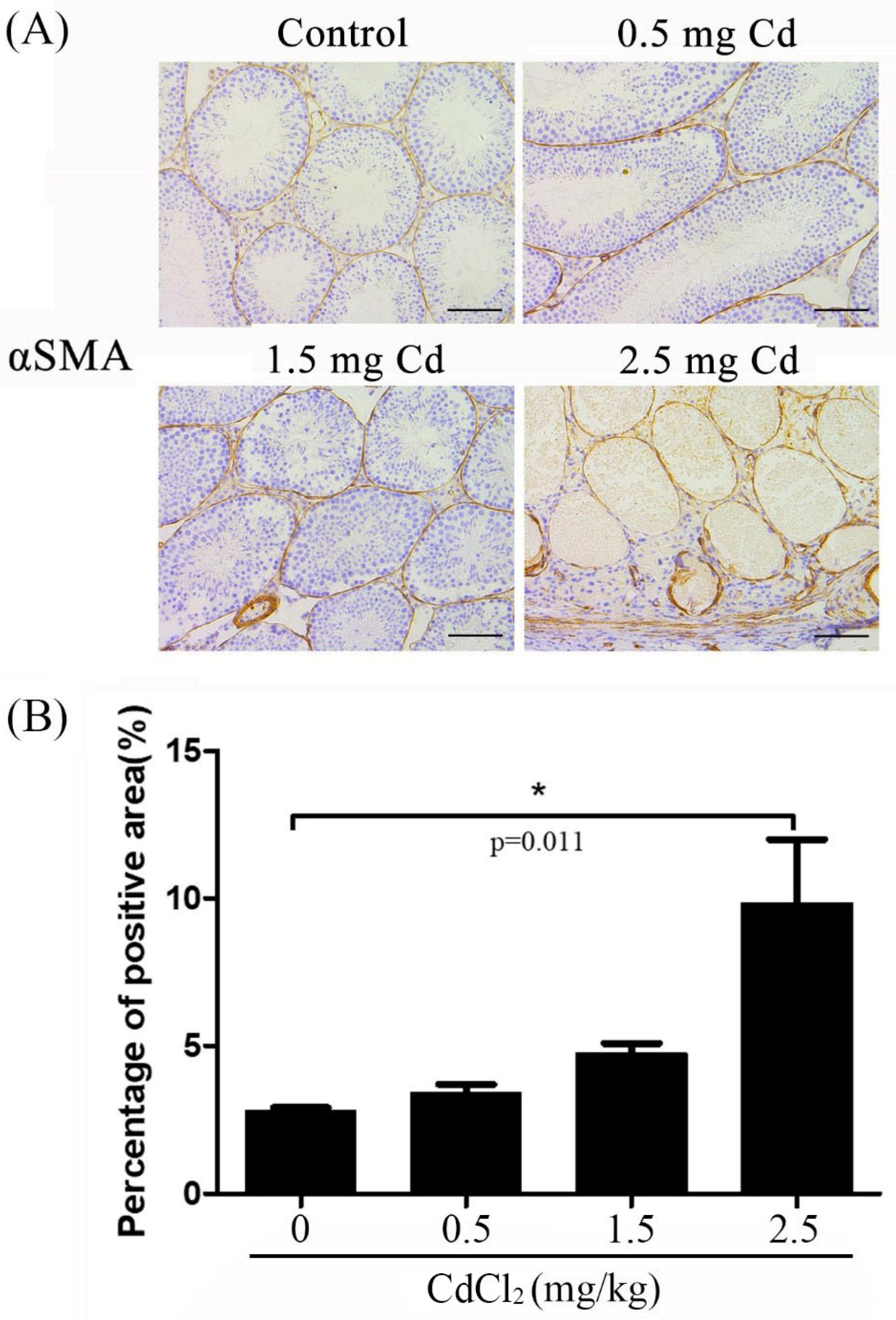 Ijerph 19 02416 g003 Ijerph 19 02416 g003