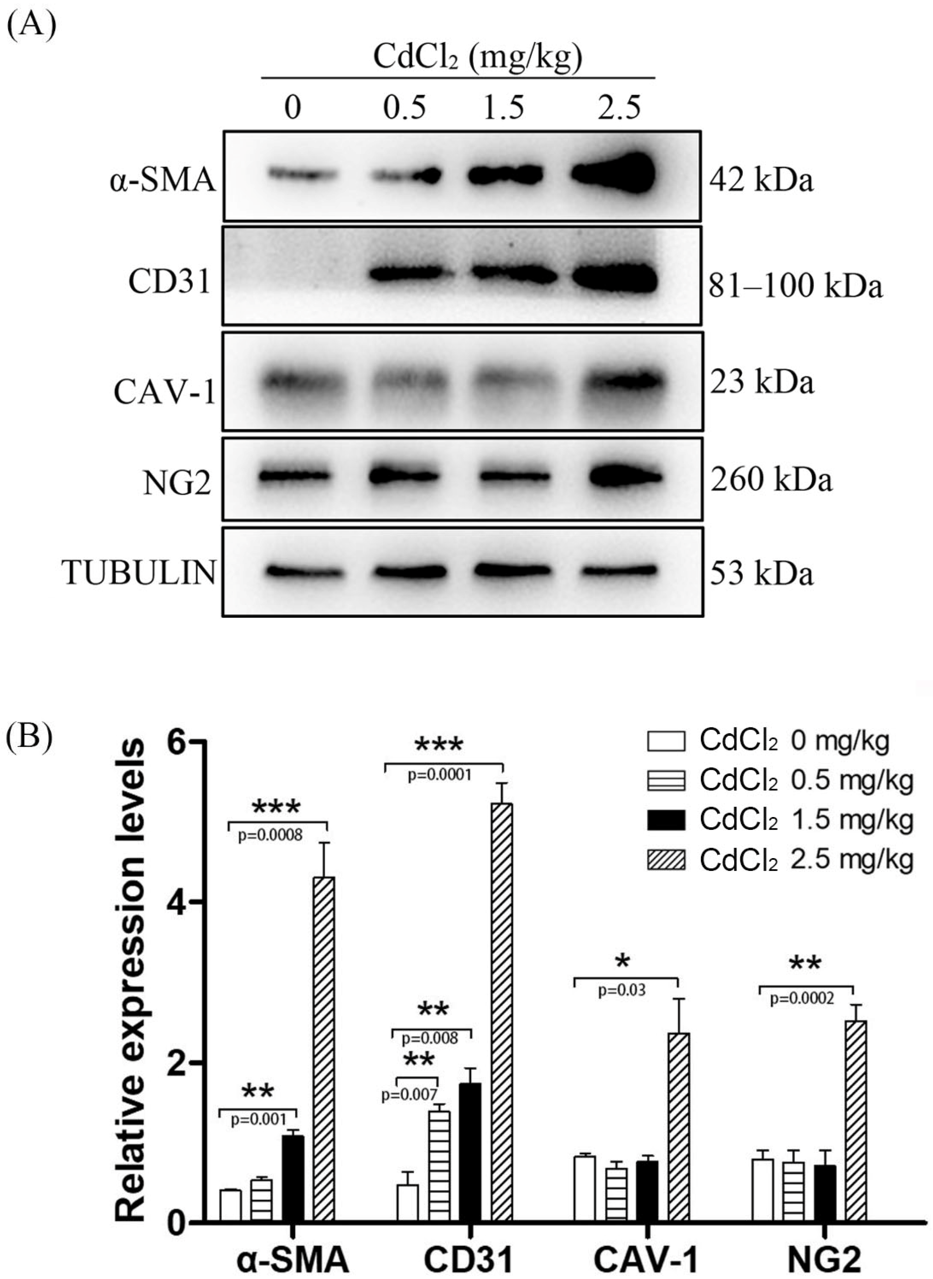 Ijerph 19 02416 g004 Ijerph 19 02416 g004