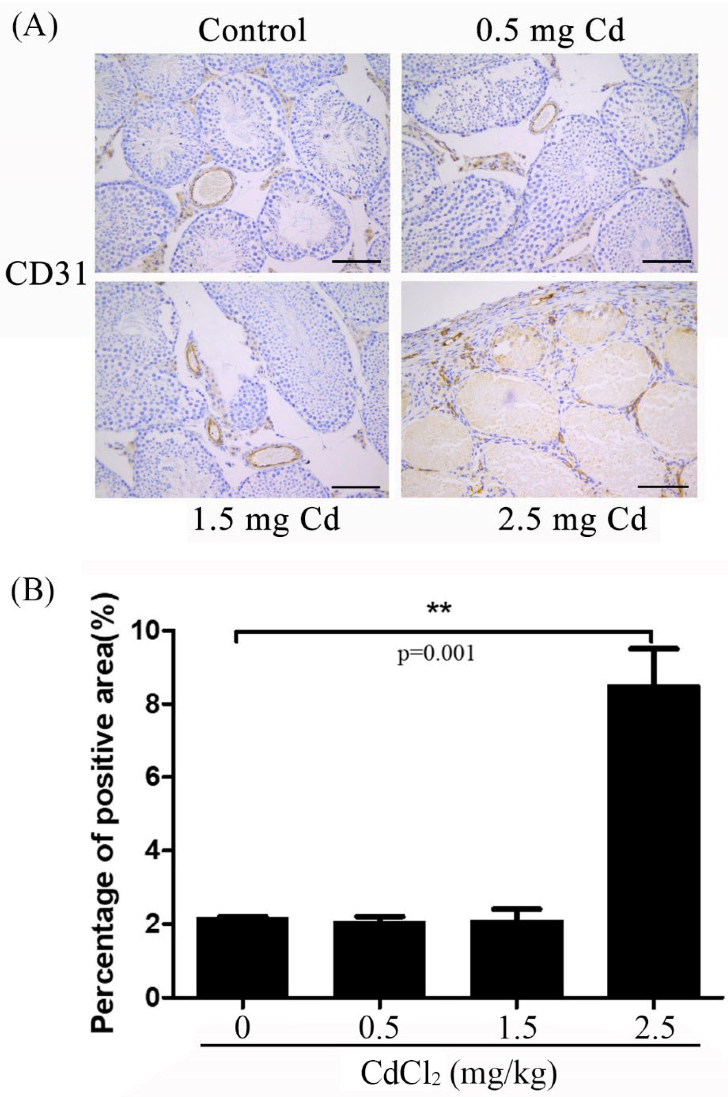 Ijerph 19 02416 g005 Ijerph 19 02416 g005