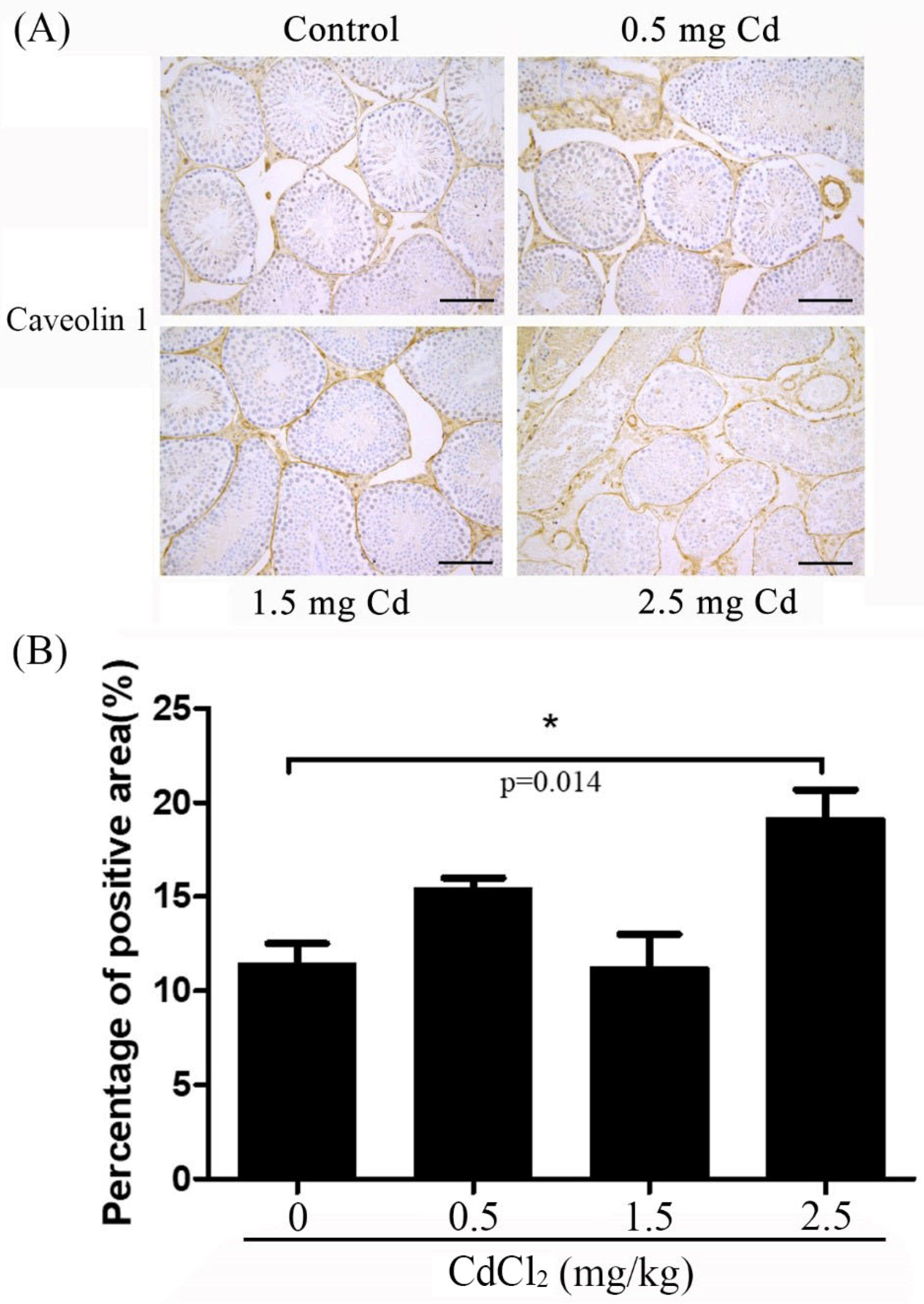 Ijerph 19 02416 g006 Ijerph 19 02416 g006