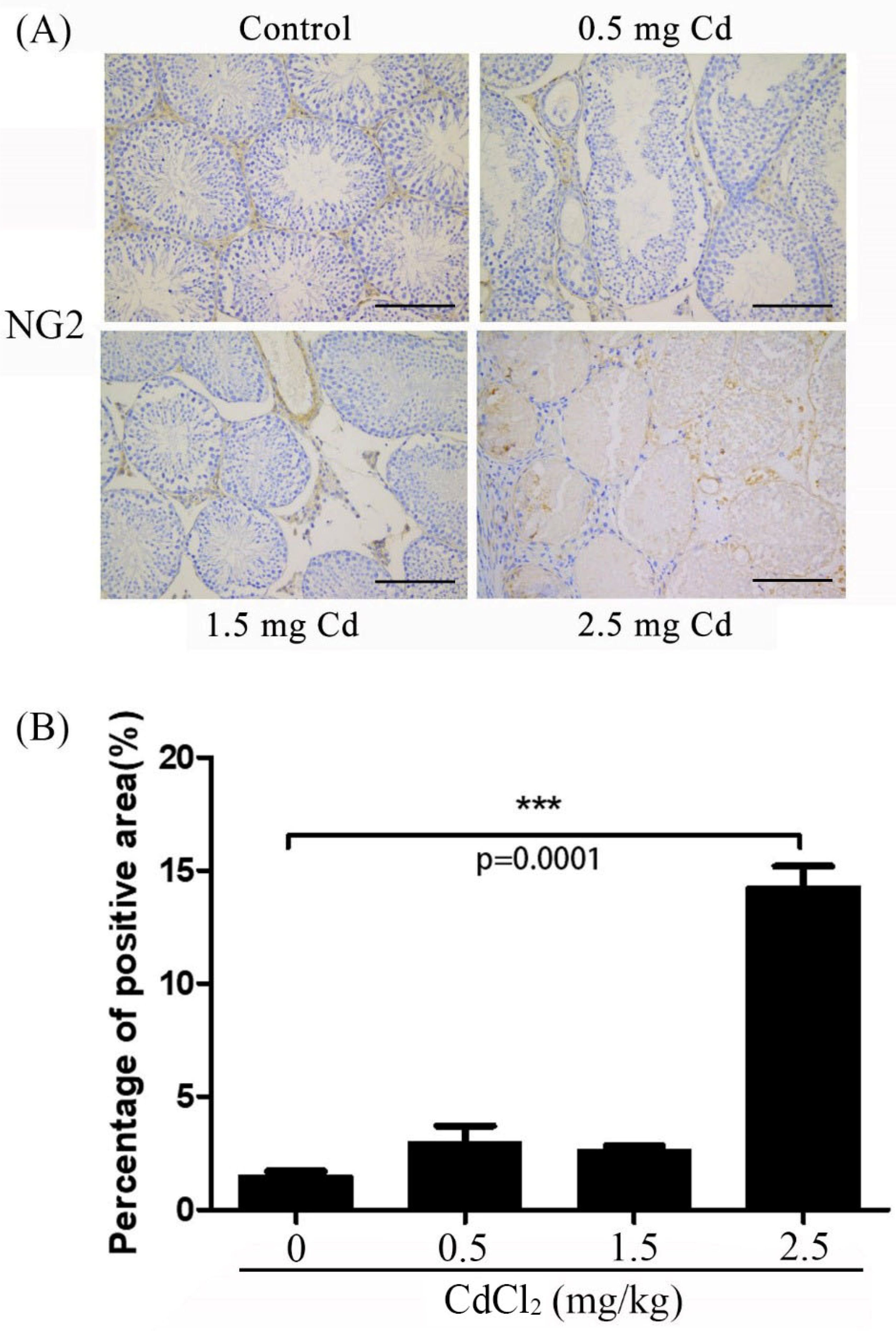 Ijerph 19 02416 g007 Ijerph 19 02416 g007