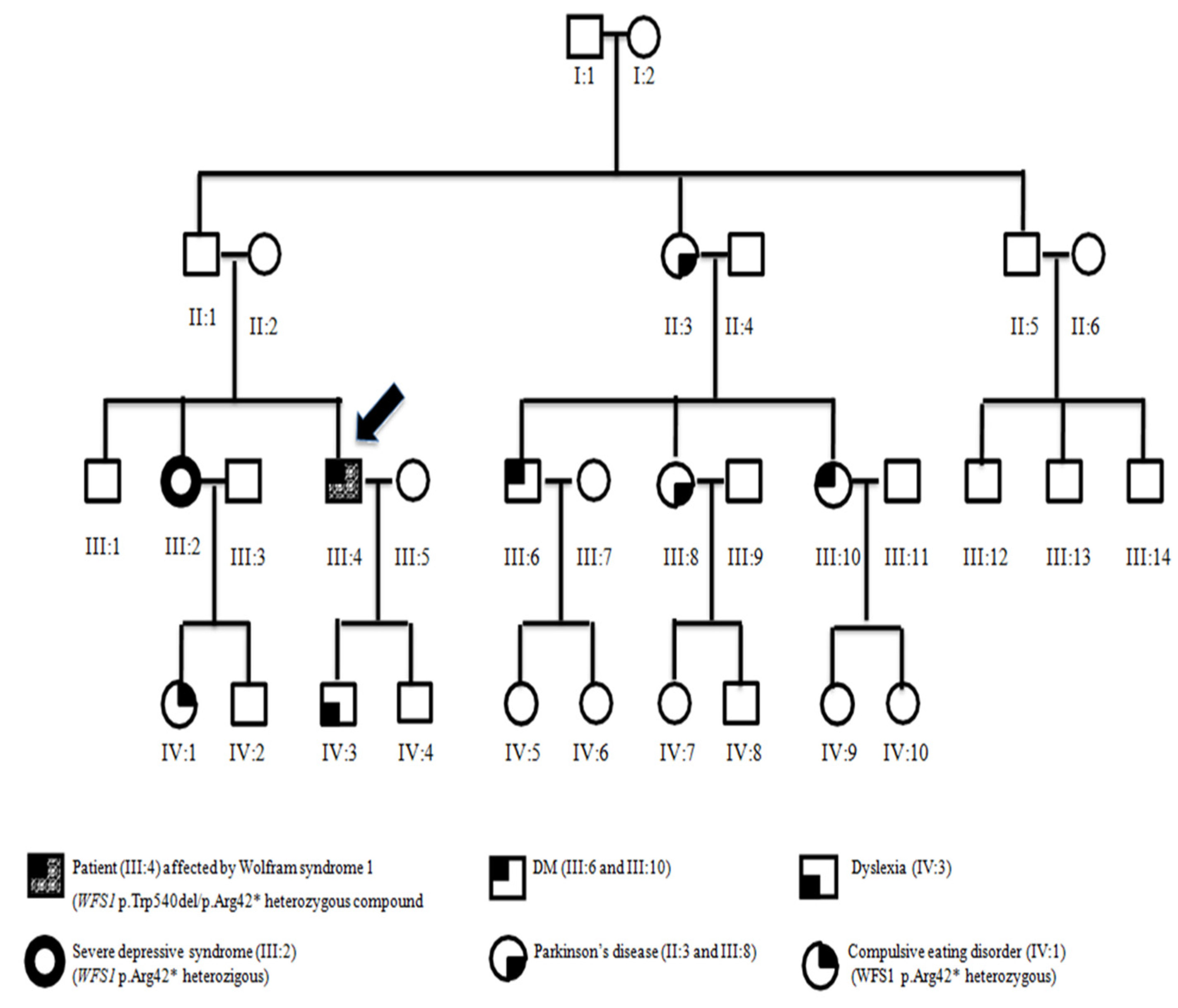 Ijerph 19 02473 g001