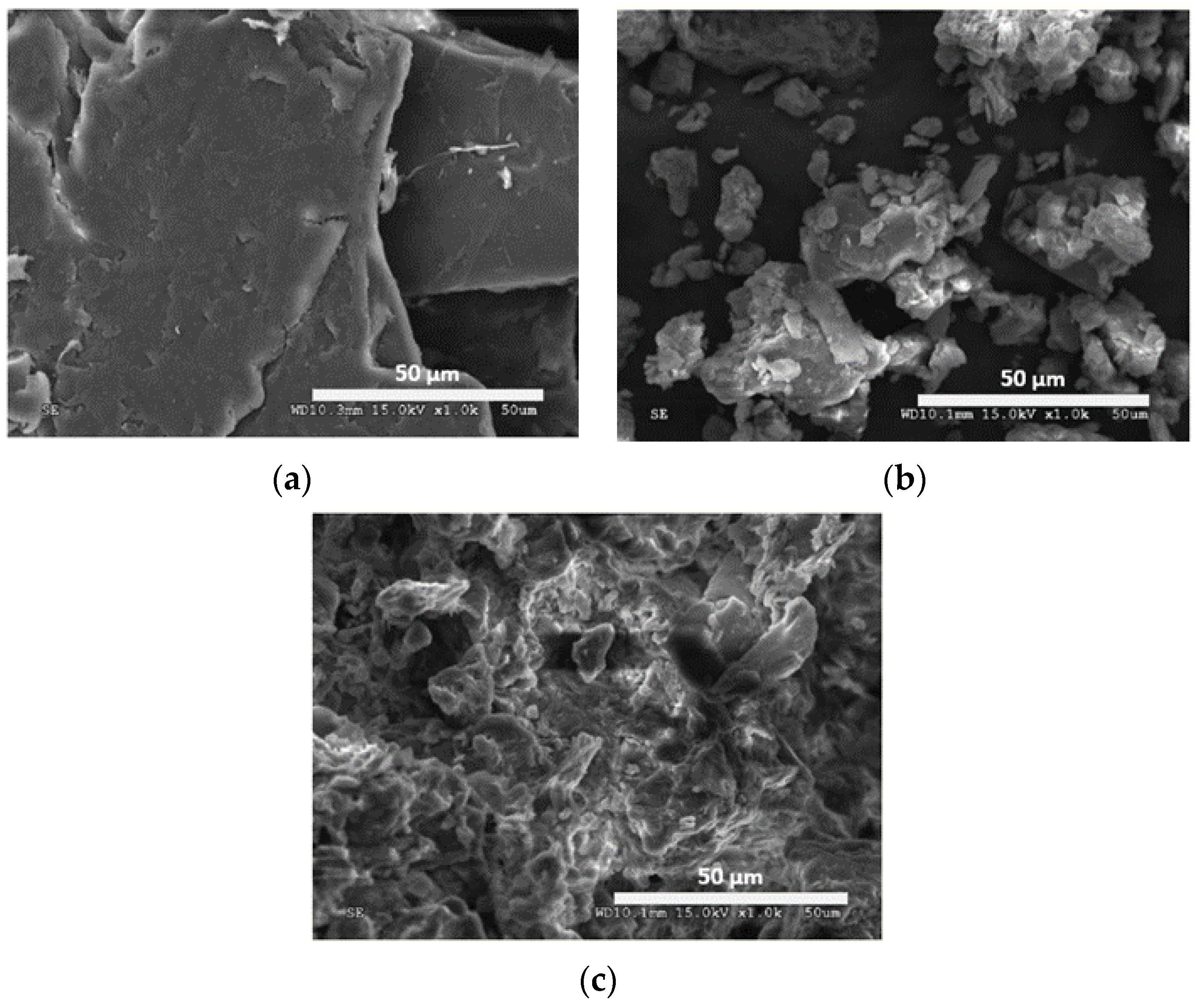 Ijerph 19 02597 g001