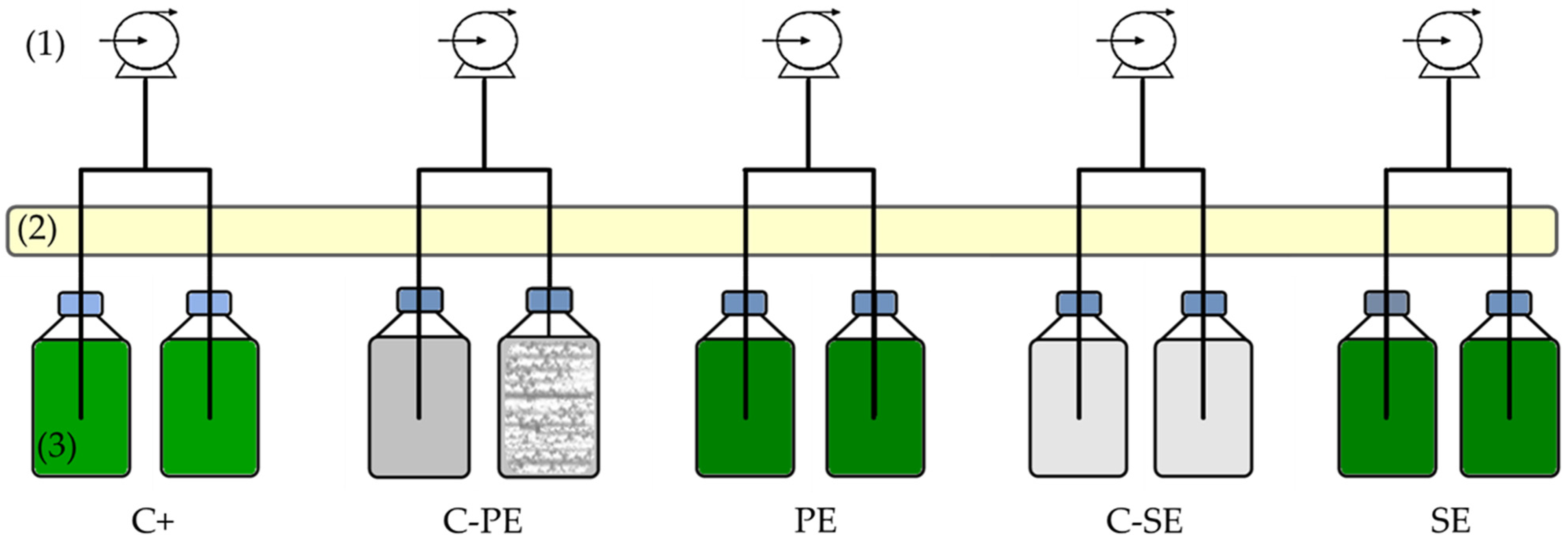 Ijerph 19 02634 g002