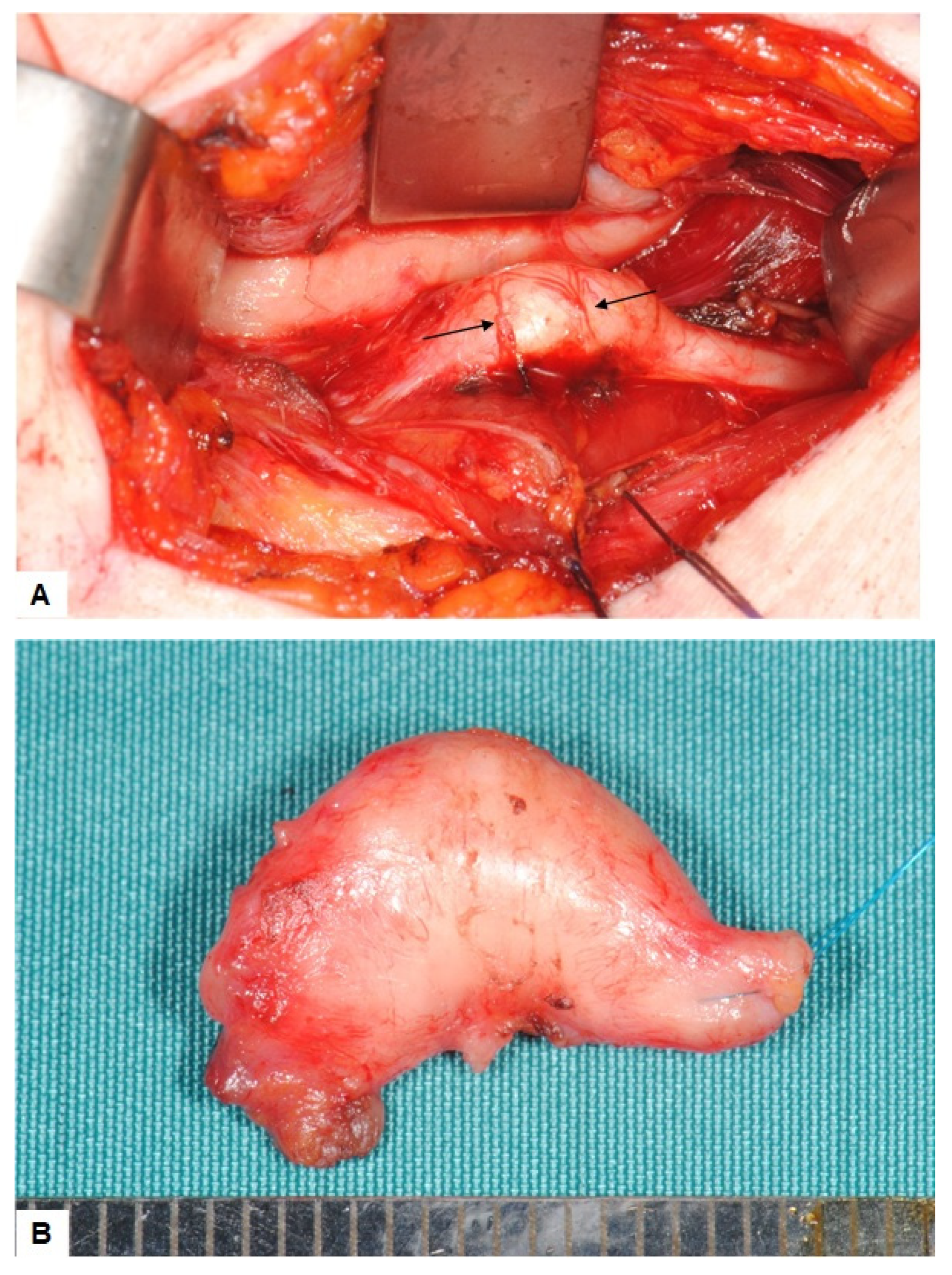 Ijerph 19 02690 g004