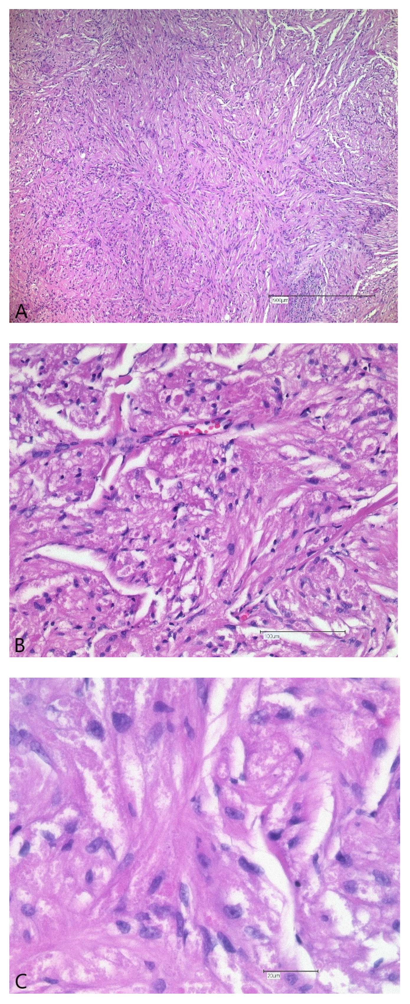 Ijerph 19 02690 g005a