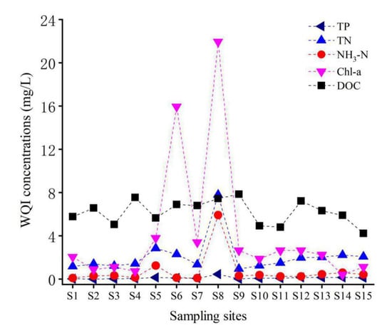 Ijerph 19 02702 g0a1 550