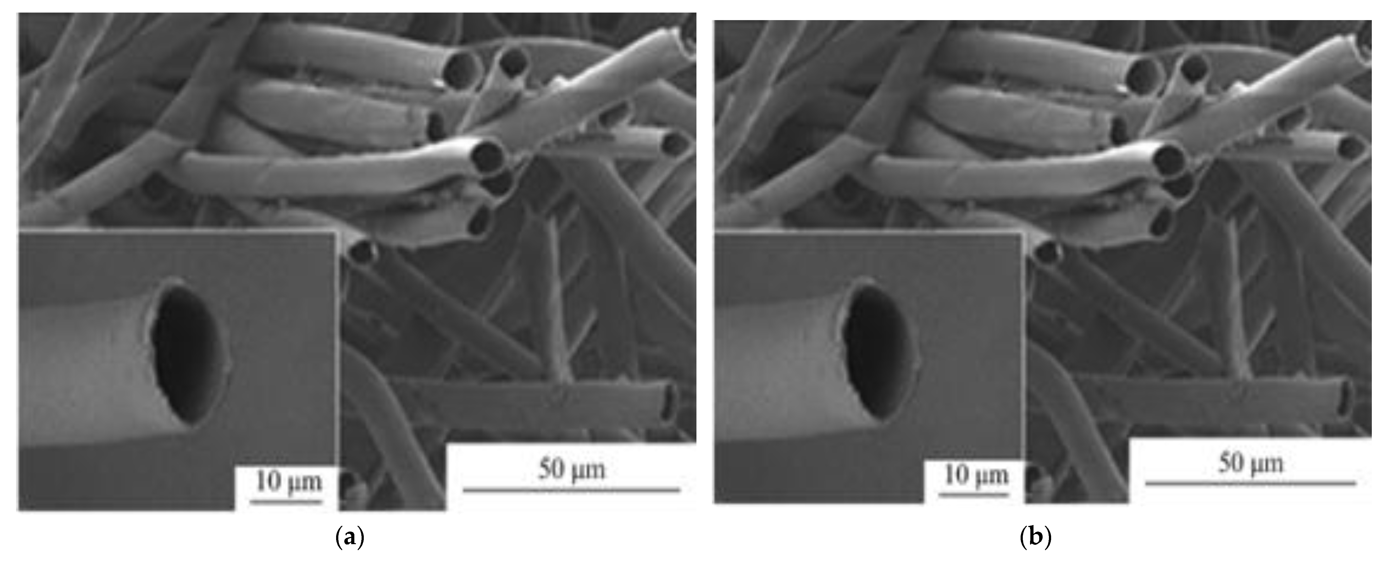 Ijerph 19 02703 g001